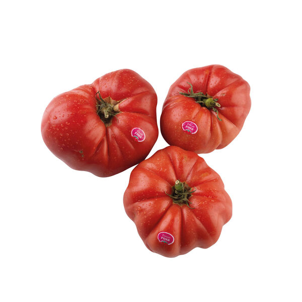 Tomate Rosa Bravo Continente
