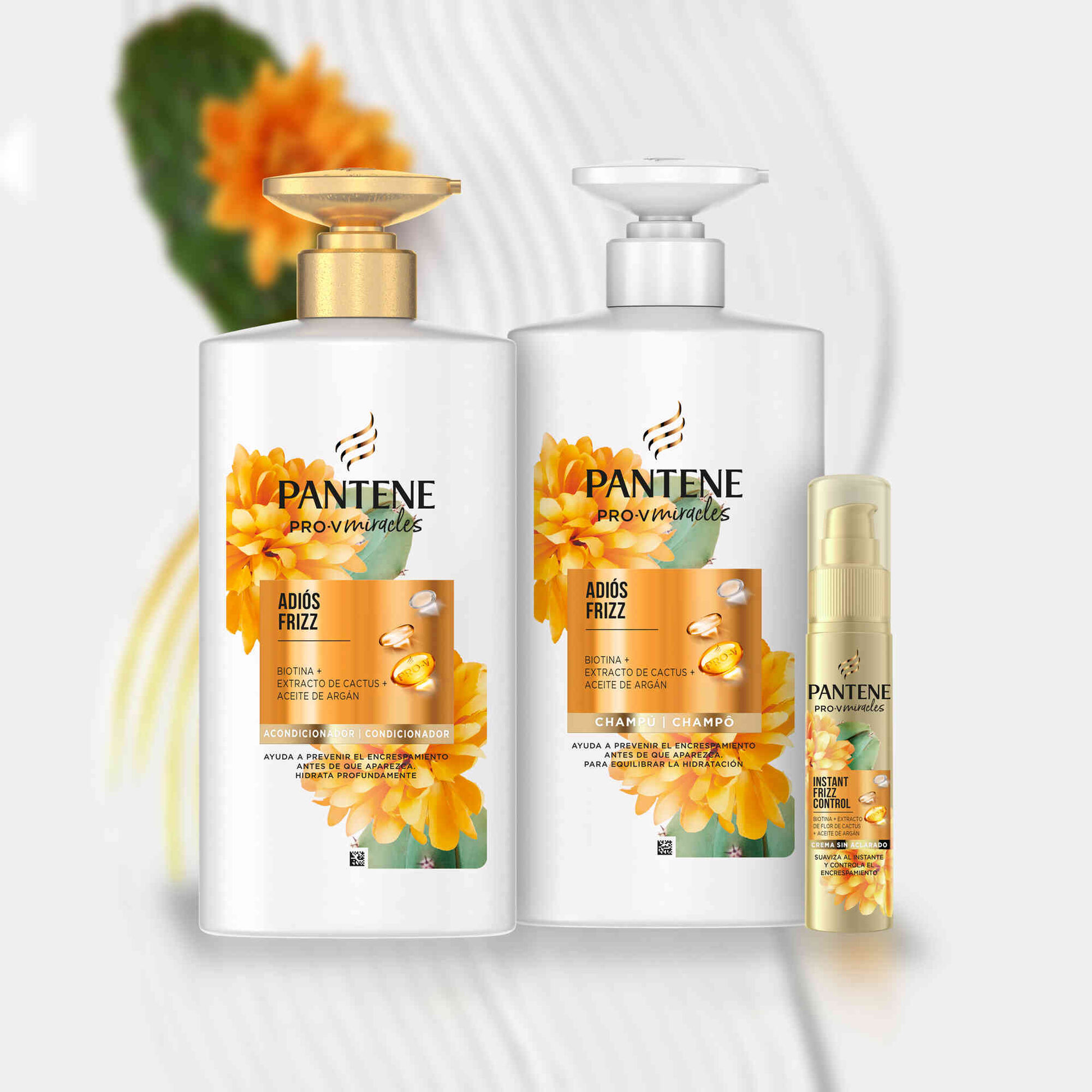 Rotina Cabelo Pro-V Miracles Antifrizz Rotina Cabelo Pro-V Miracles Antifrizz