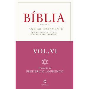 Bíblia (Volume VI) de Frederico Lourenço