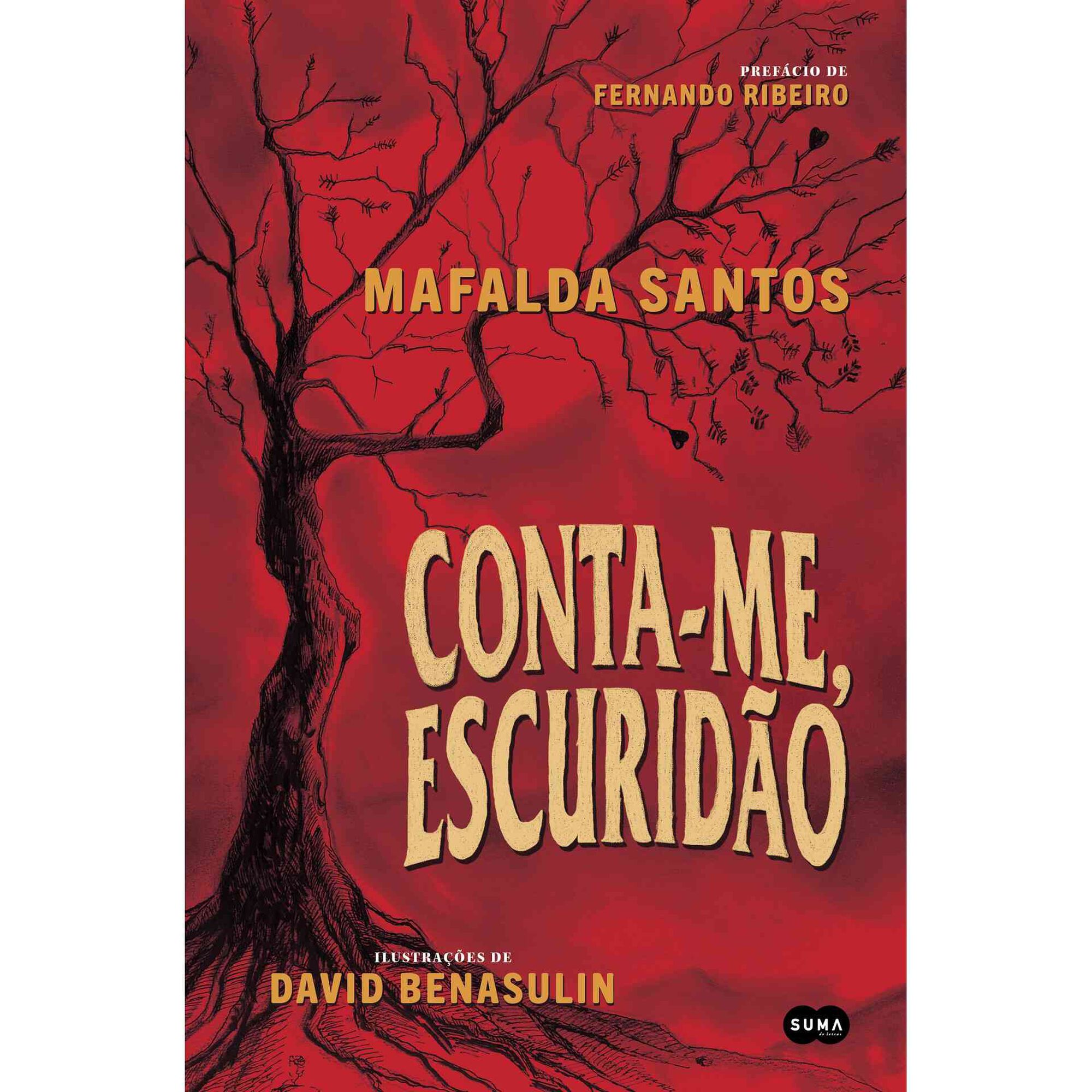 Conta-me, Escurid&atilde;o de Mafalda Santos