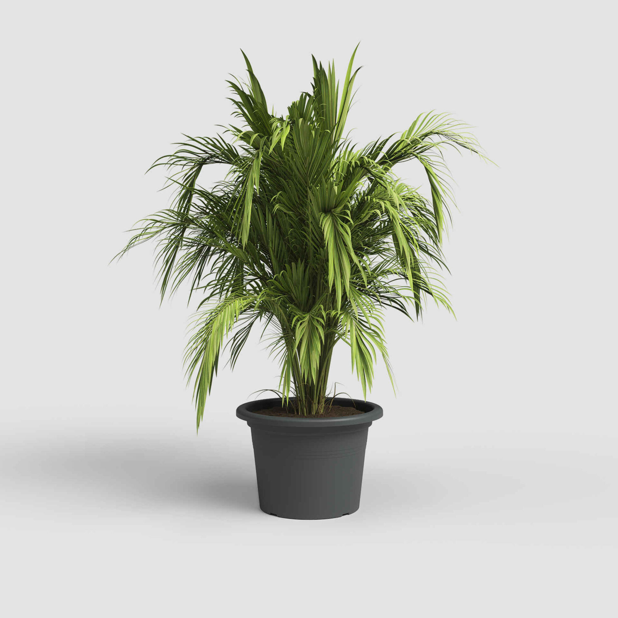 Vaso Redondo Plástico 25cm Cinza Antracite