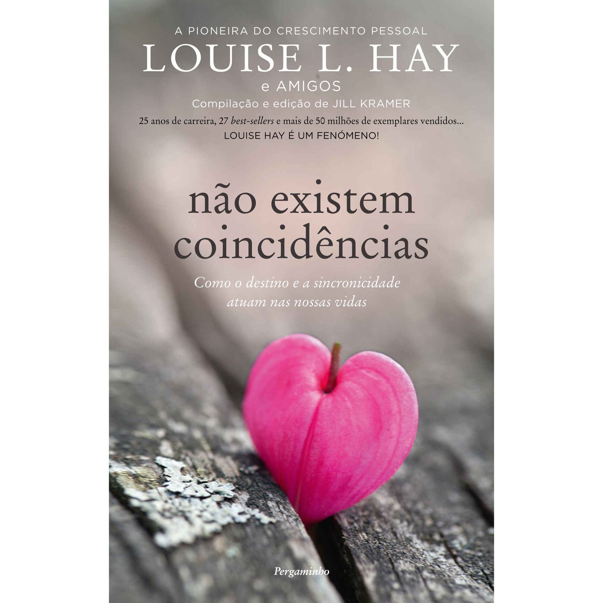 N&atilde;o Existem Coincid&ecirc;ncias de Louise L. Hay