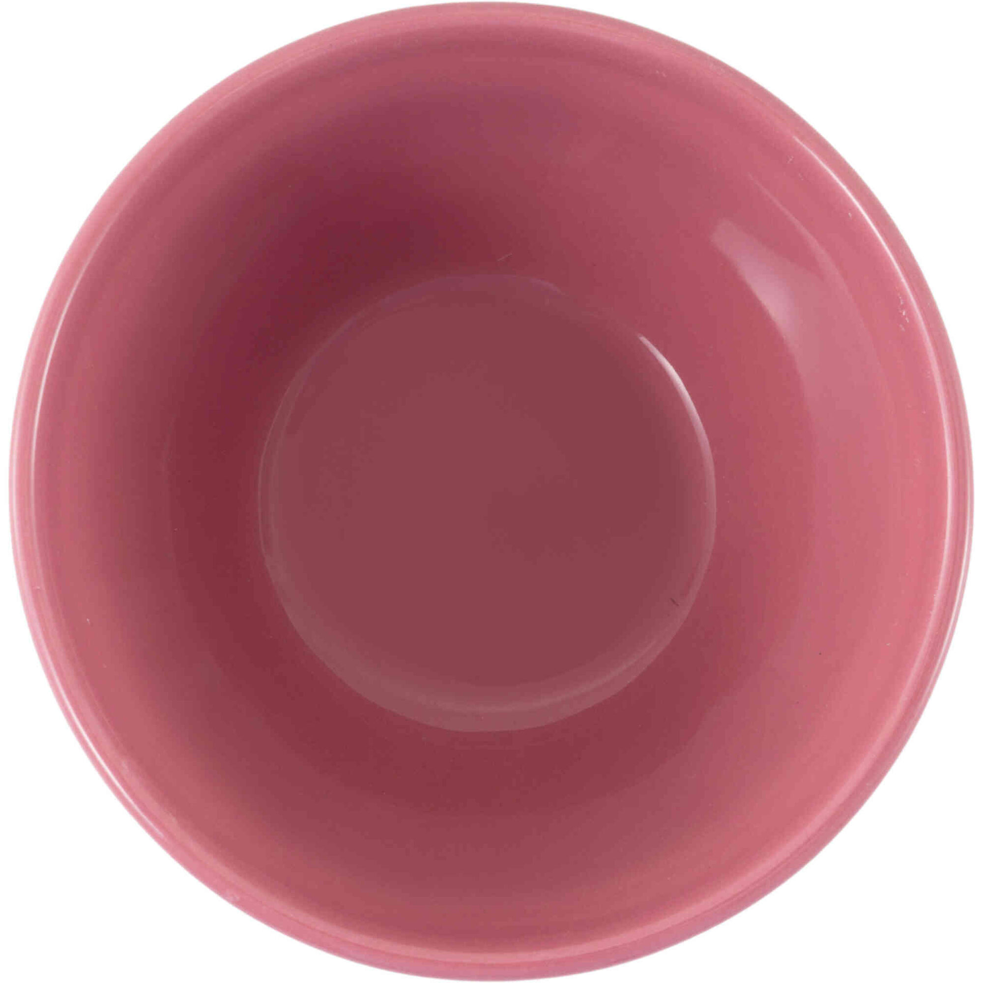 Ta&ccedil;a Canelada 550ml Rosa Jardim Secreto Kasa