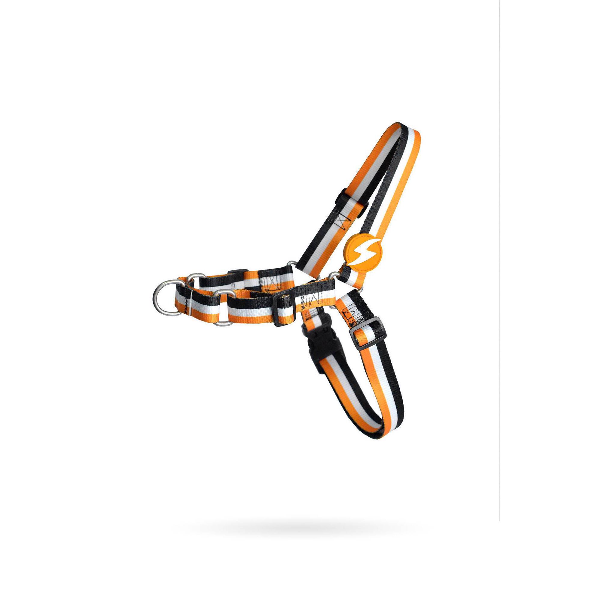 Arn&ecirc;s para C&atilde;o Stripes3 Laranja e Preto S Dashi