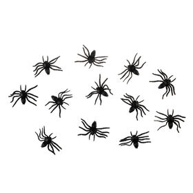 Aranhas Pequenas Aranhas Pequenas