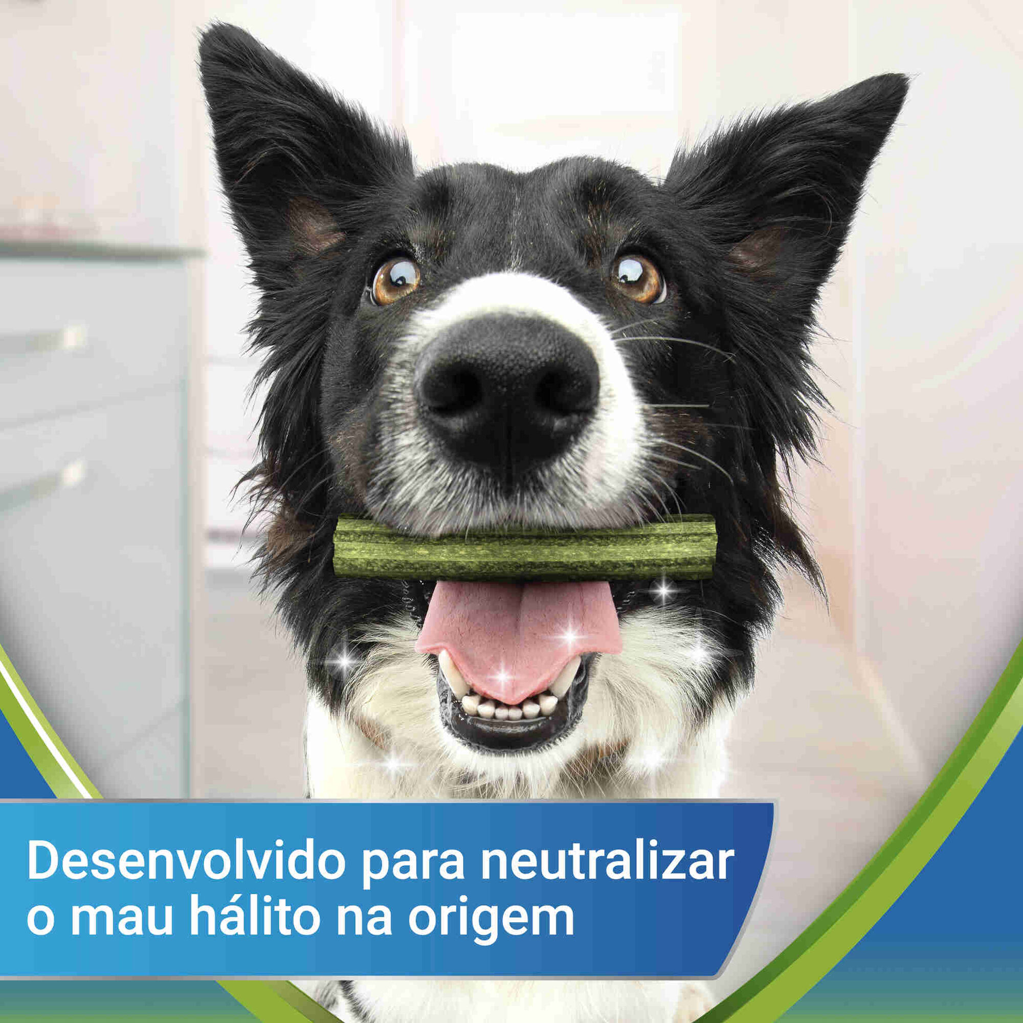 Snack para Cão Mini Activefresh