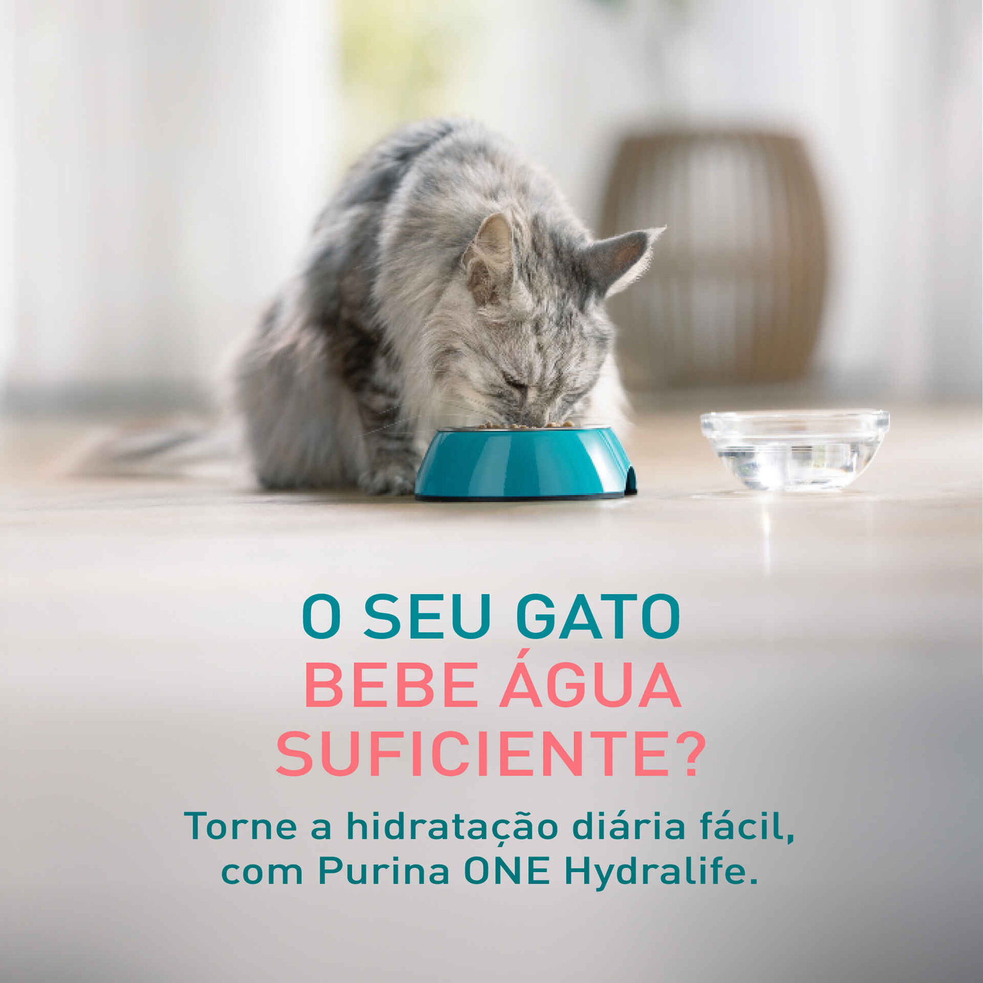 Snack para Gato Hydra Life L&iacute;quido Salm&atilde;o Purina One