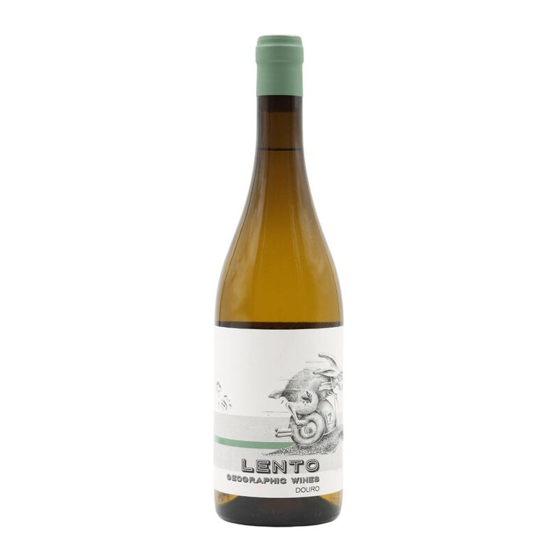 Lento Douro Vinho Branco