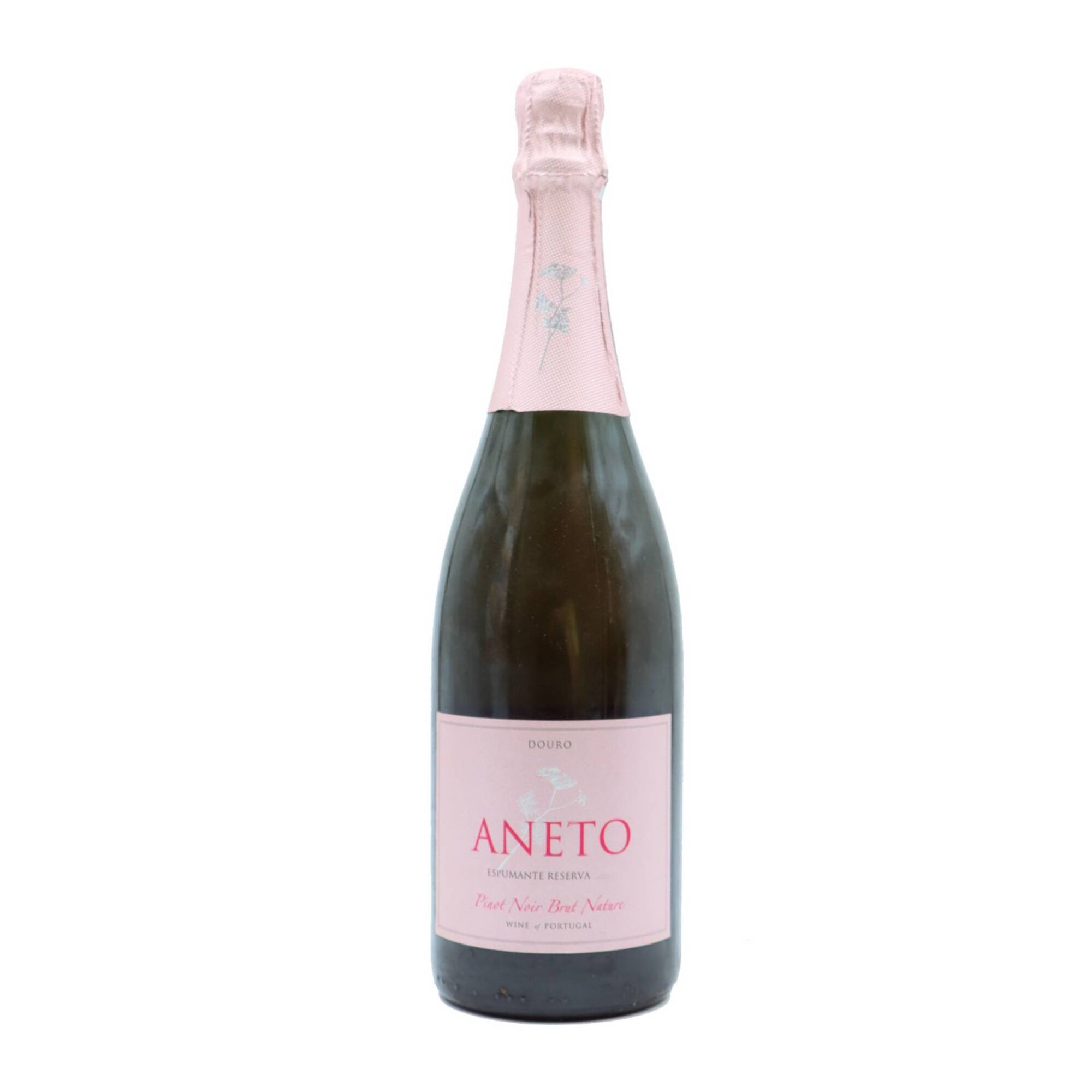 Aneto Pinot Noir Espumante Bruto Branco Nature