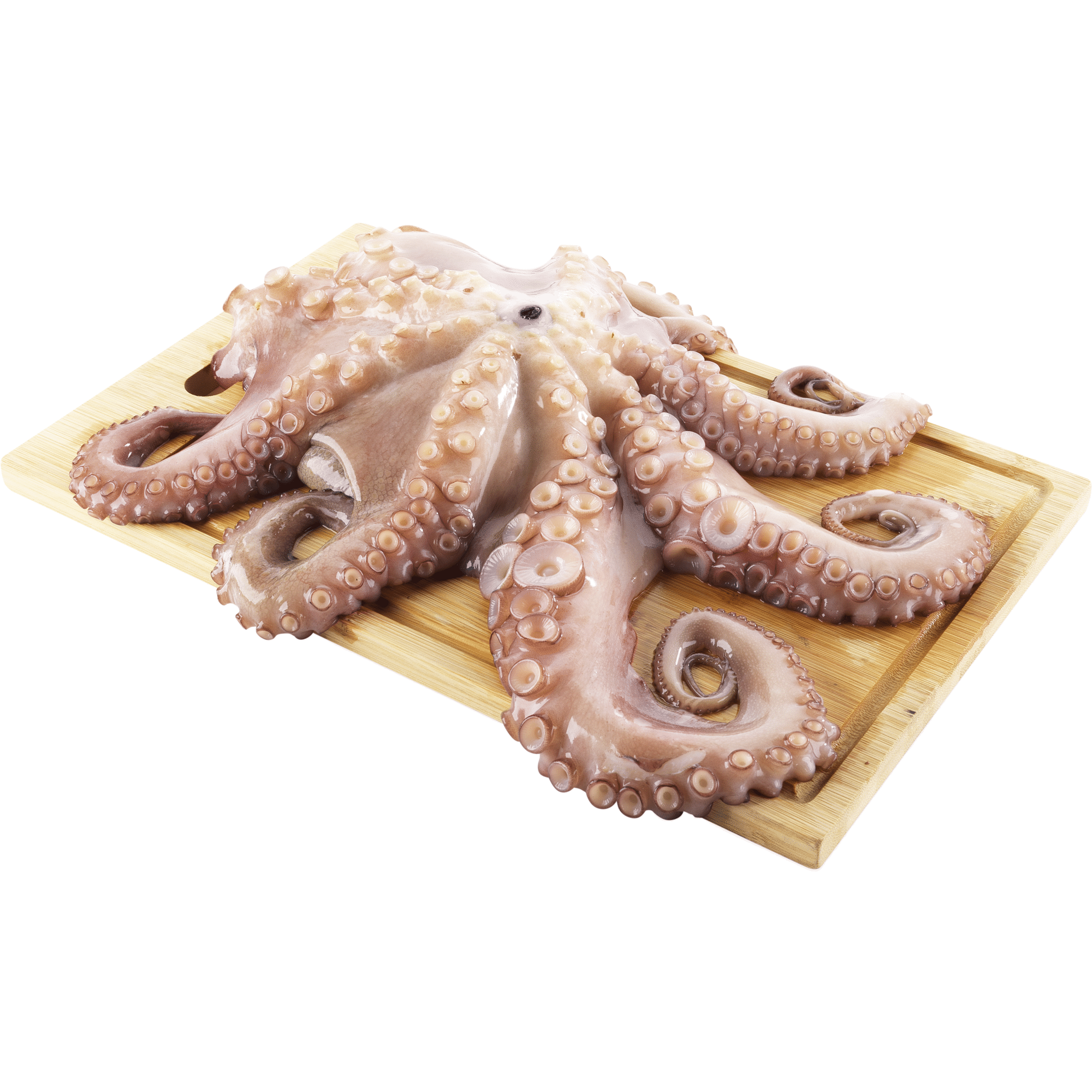 Polvo Congelado (1,5 a 3 kg)