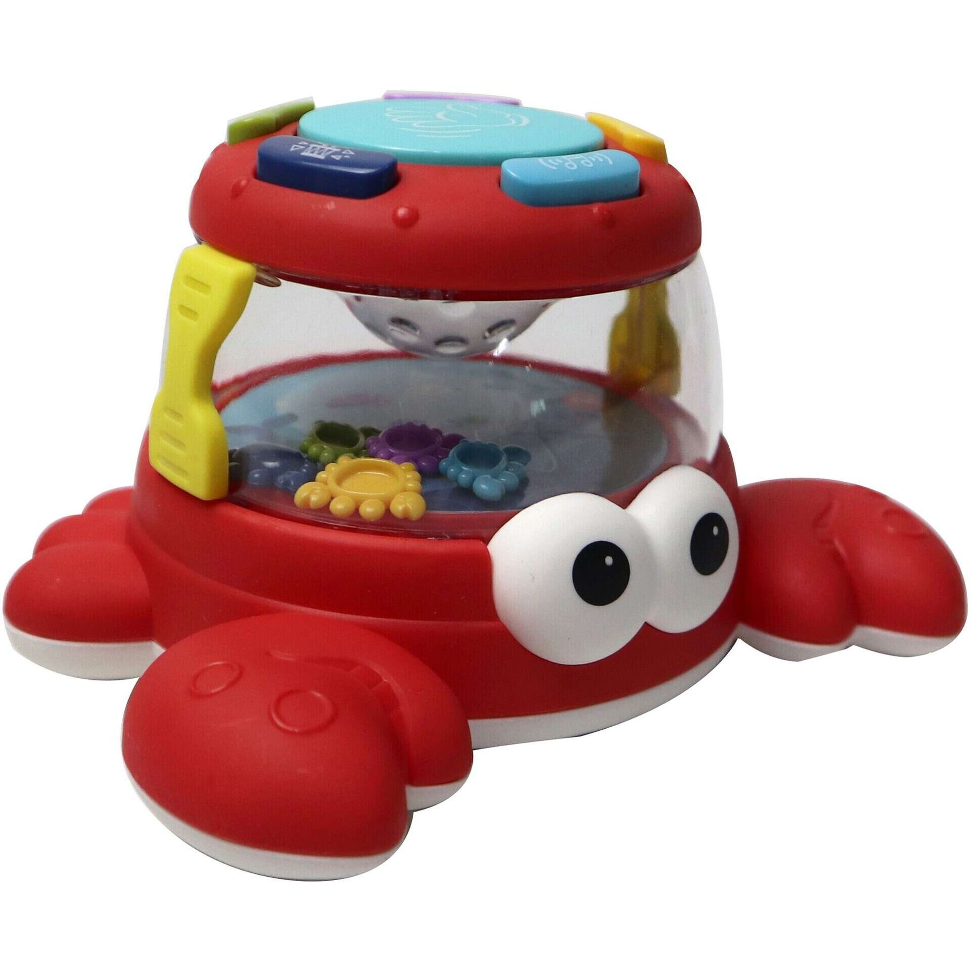 Tartaruga e Carangueijo Divertidos