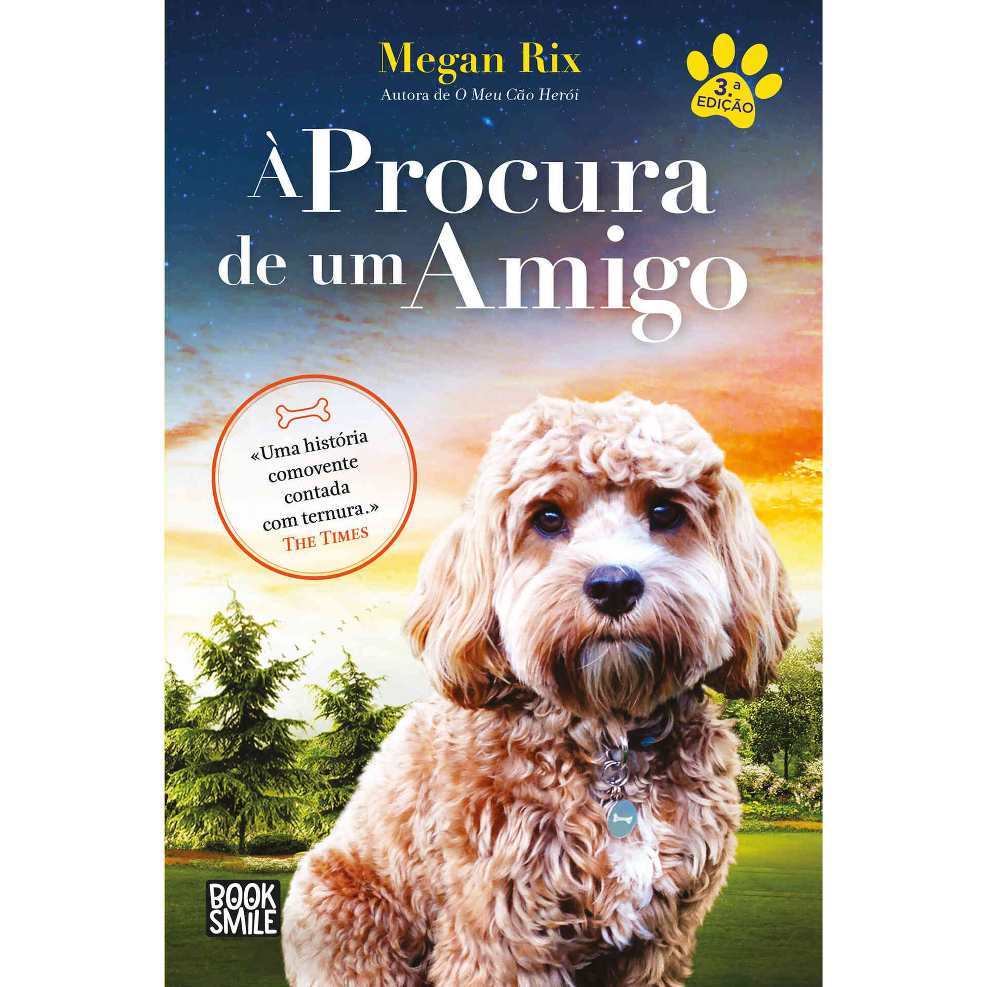 &Agrave; Procura de um Amigo