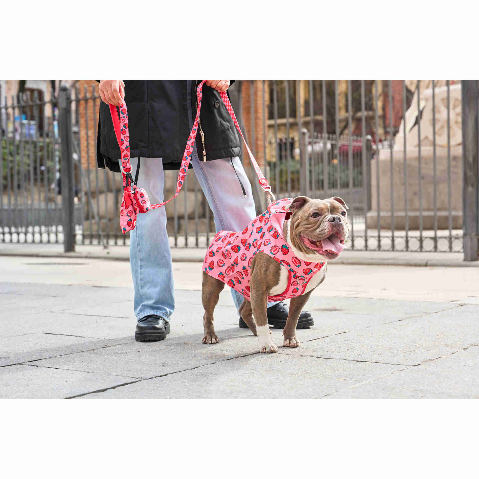 Imperme&aacute;vel para C&atilde;o Berry Love XXXL Dukier