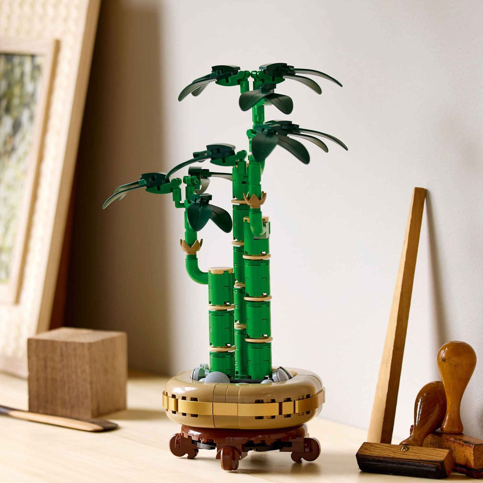 Bambu da Sorte - 10344