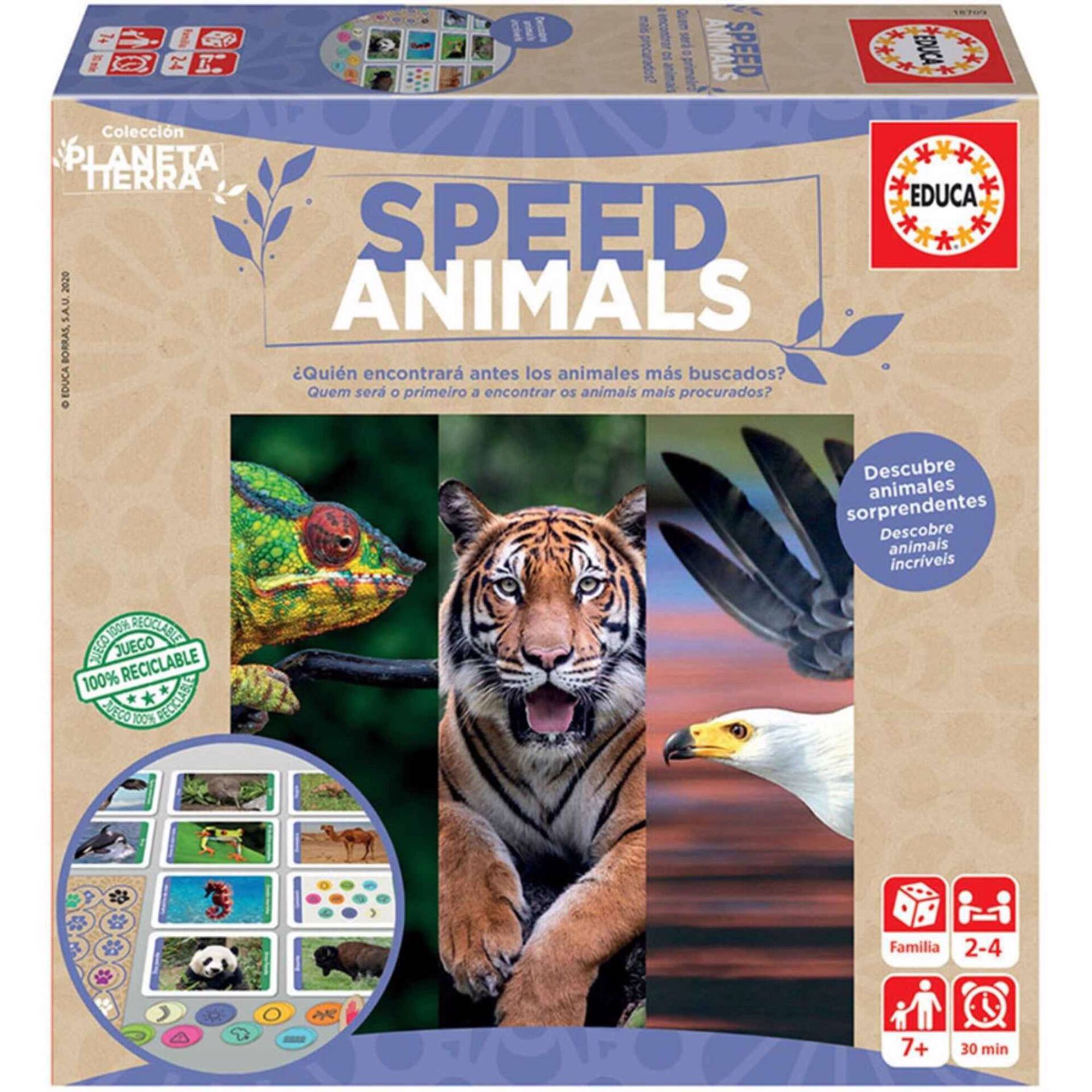 Speed Animals Speed Animals