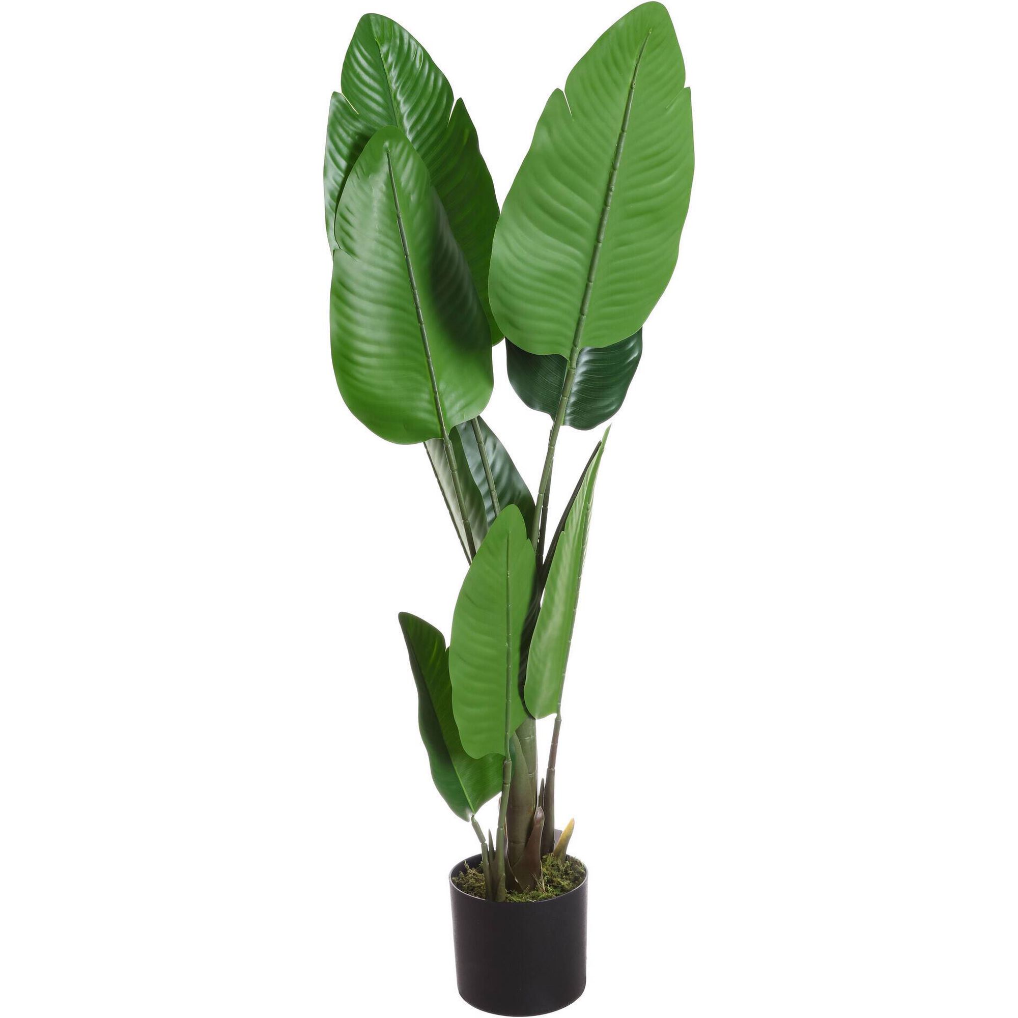Planta Artificial Folhas Verdes Largas 100cm Kasa