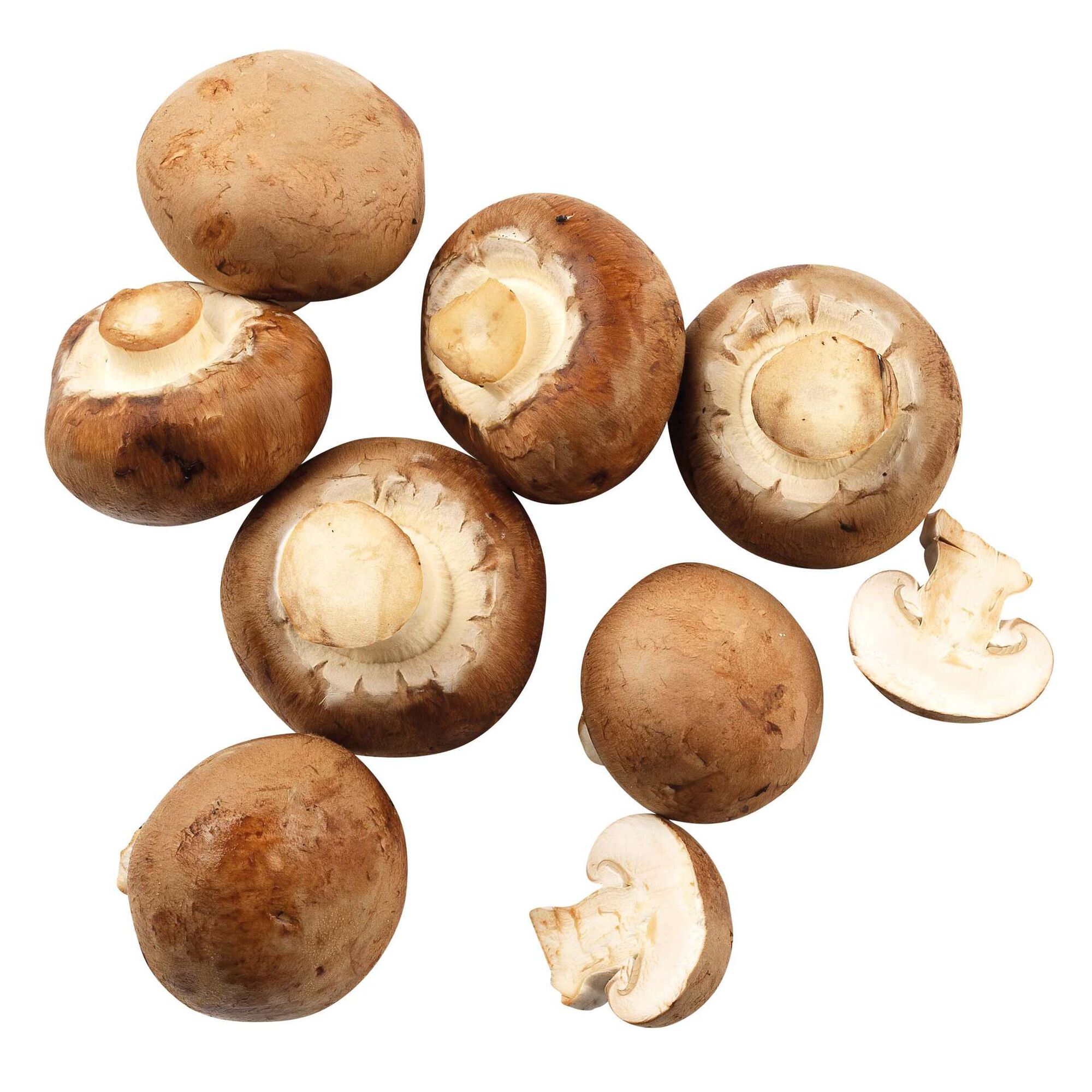 Cogumelo Marron Biol&oacute;gico Fresco