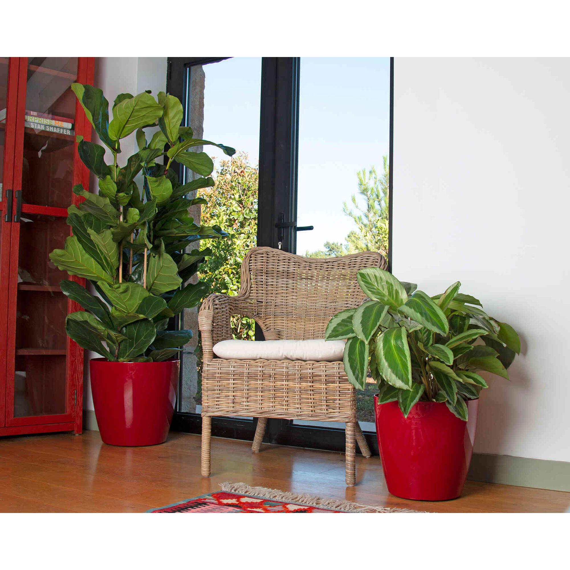 Vaso Redondo Plástico 12cm Transparente