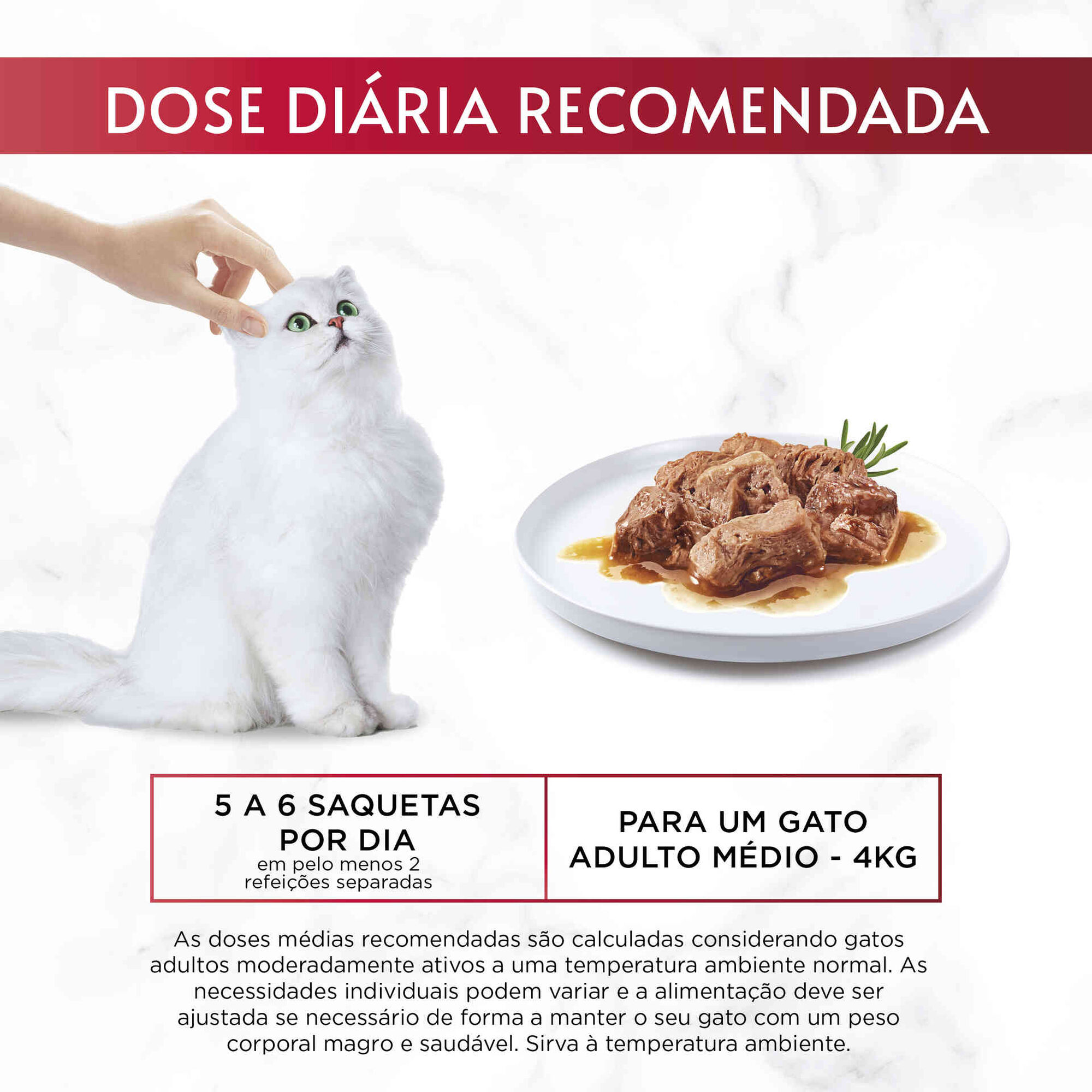 Comida Húmida para Gato Adulto Seleção de Peixe Saquetas Comida Húmida para Gato Adulto Seleção de Peixe Saquetas