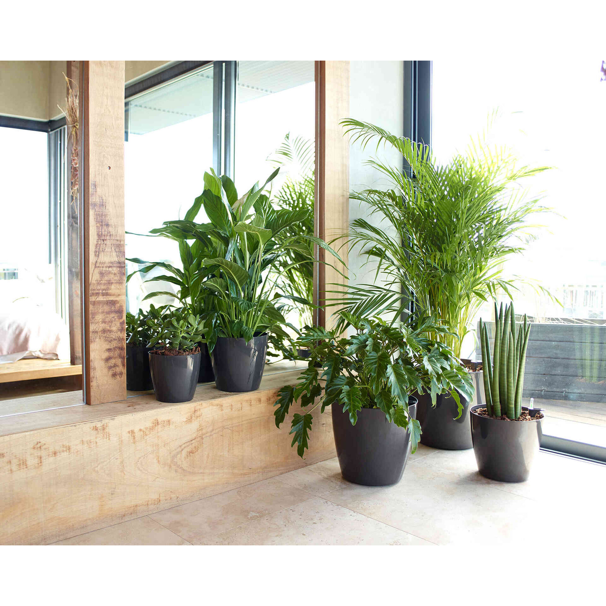 Vaso Redondo Plástico 12cm Transparente