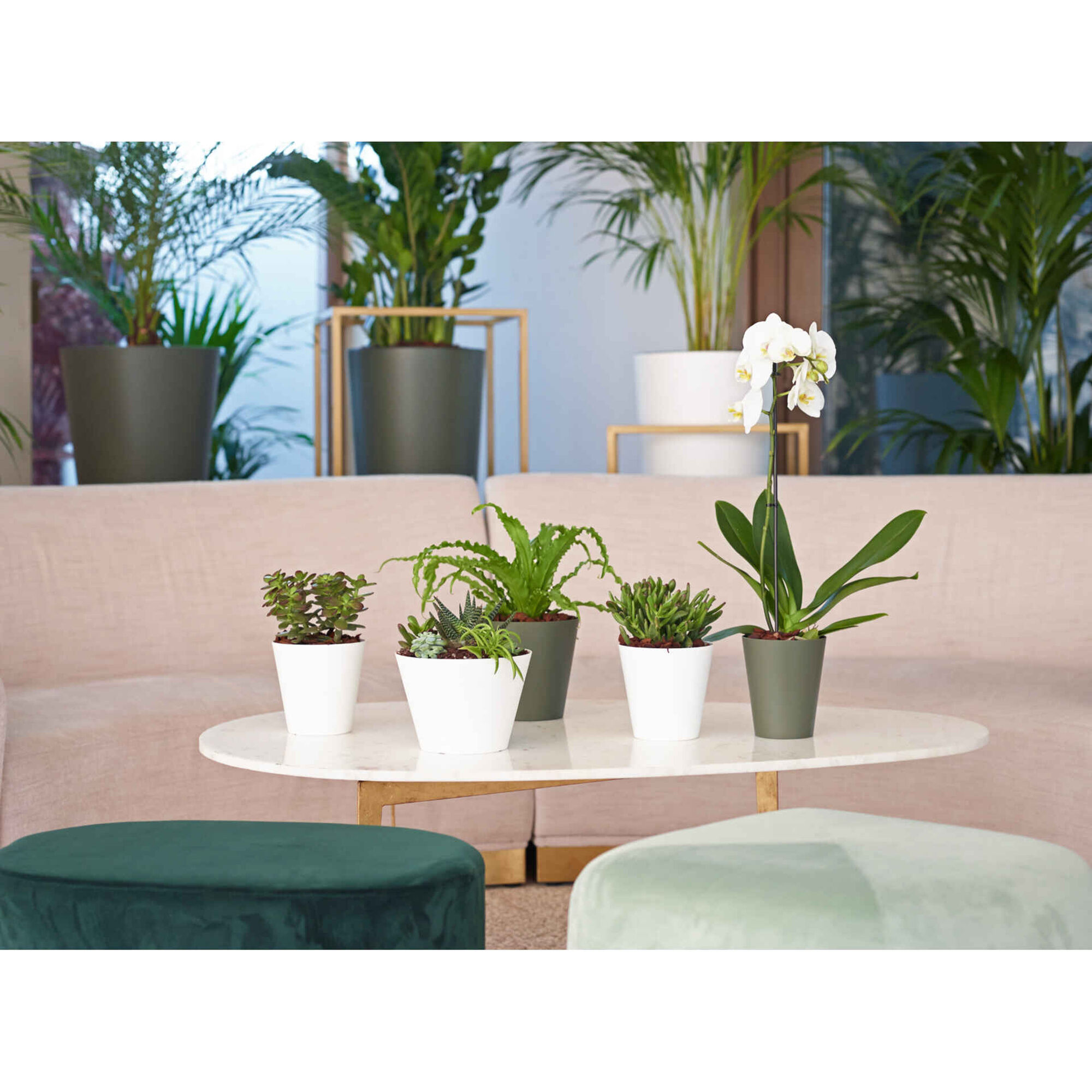 Vaso Redondo Plástico 12,5cm Branco