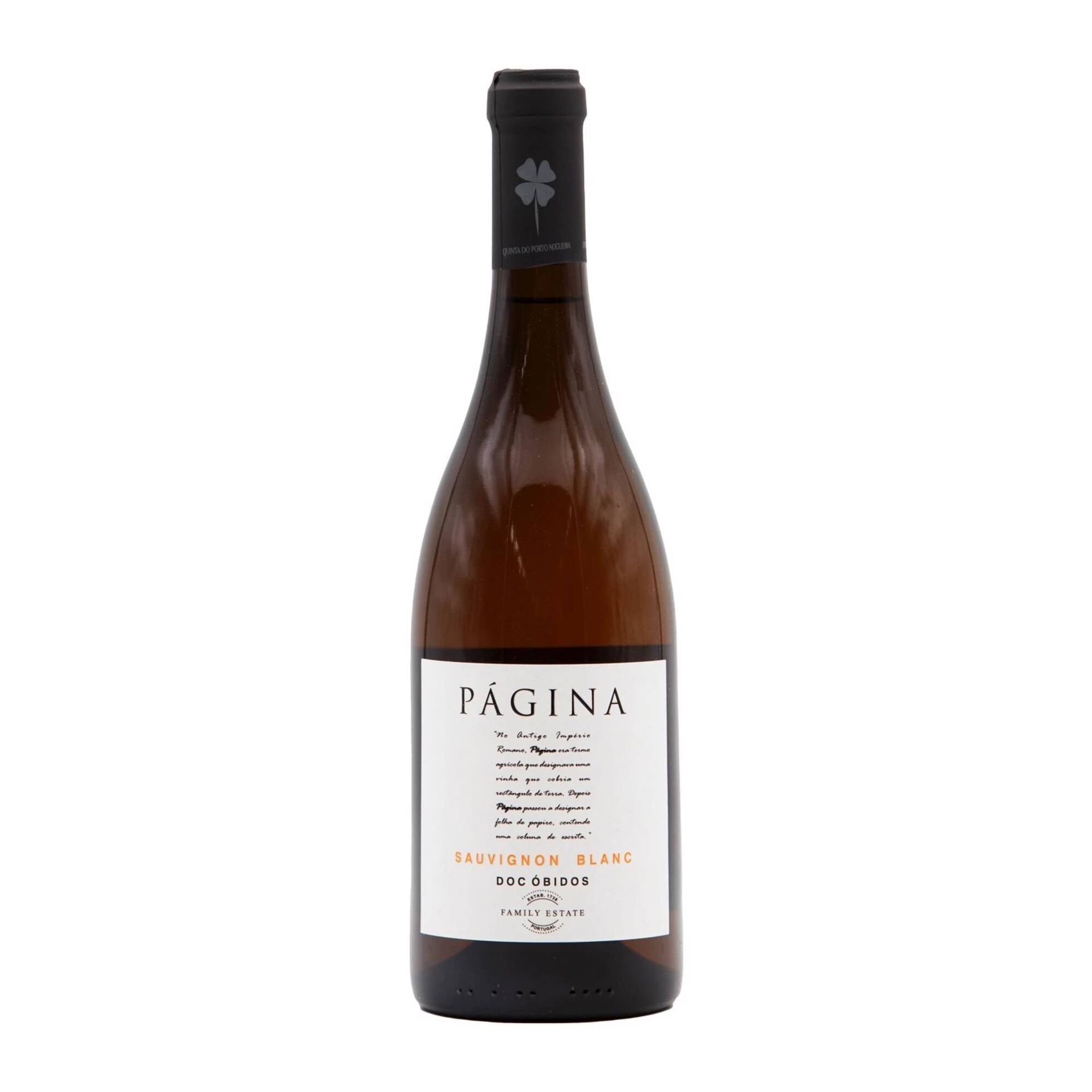 P&aacute;gina Sauvignon Blanc Lisboa Vinho Branco