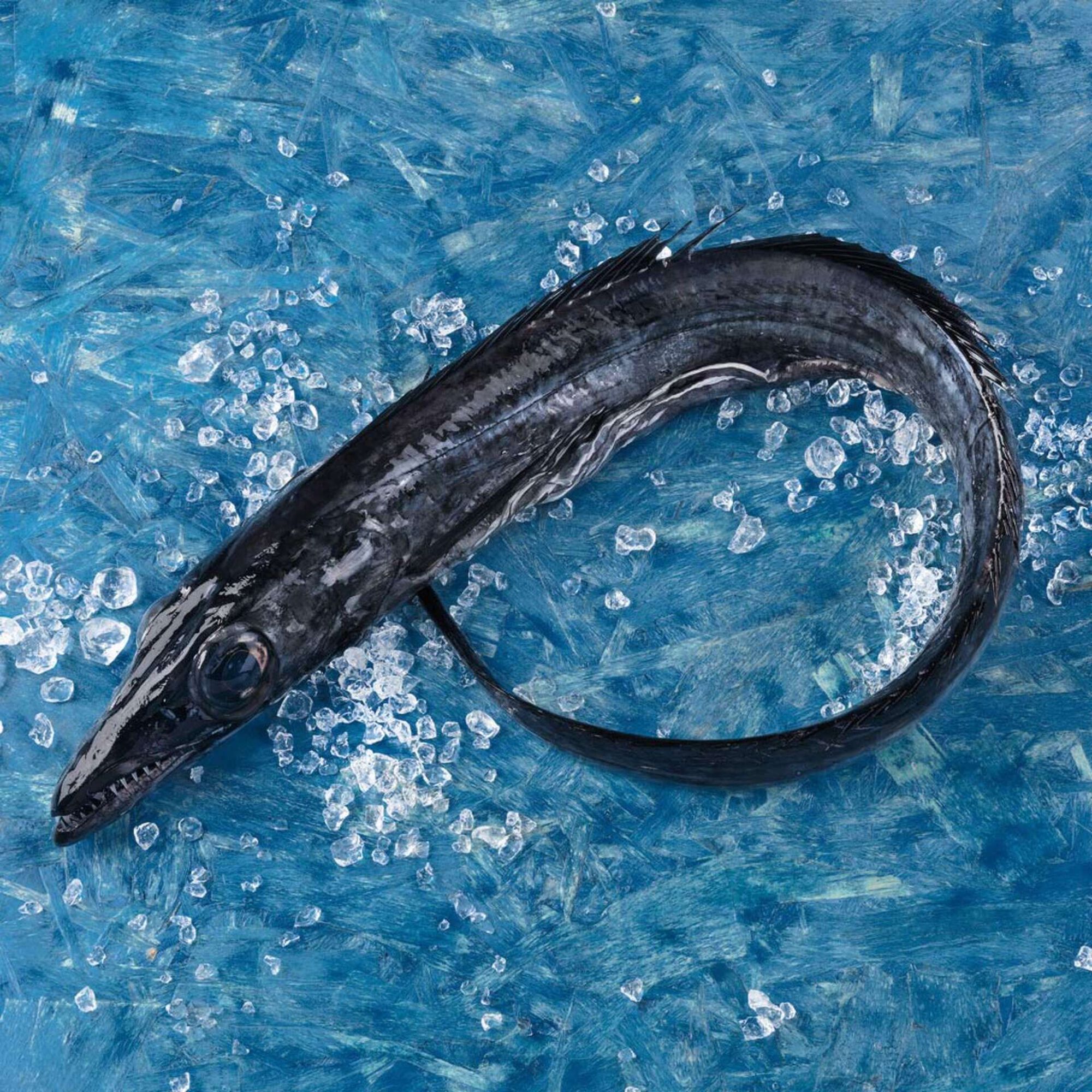 Peixe Espada Preto Fresco