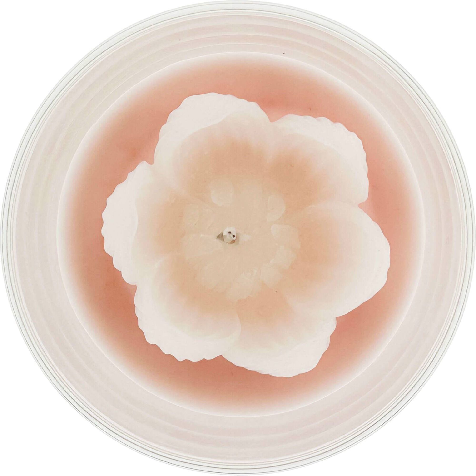 Vela em Copo 150g com Flor Branca Kasa