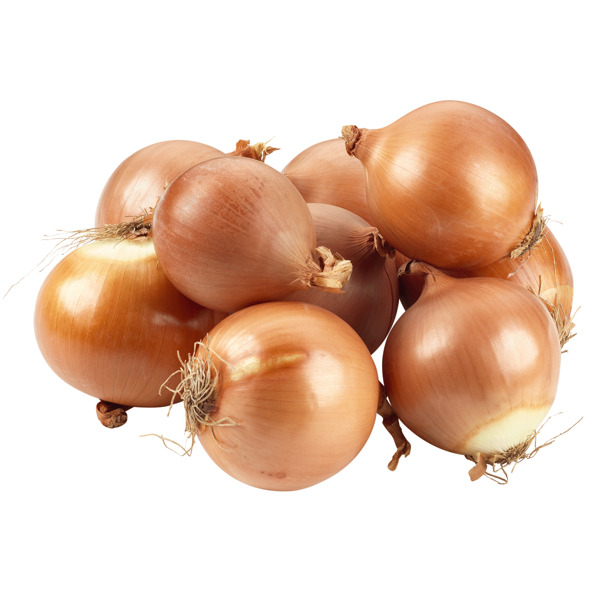 Cebola Resíduo Zero