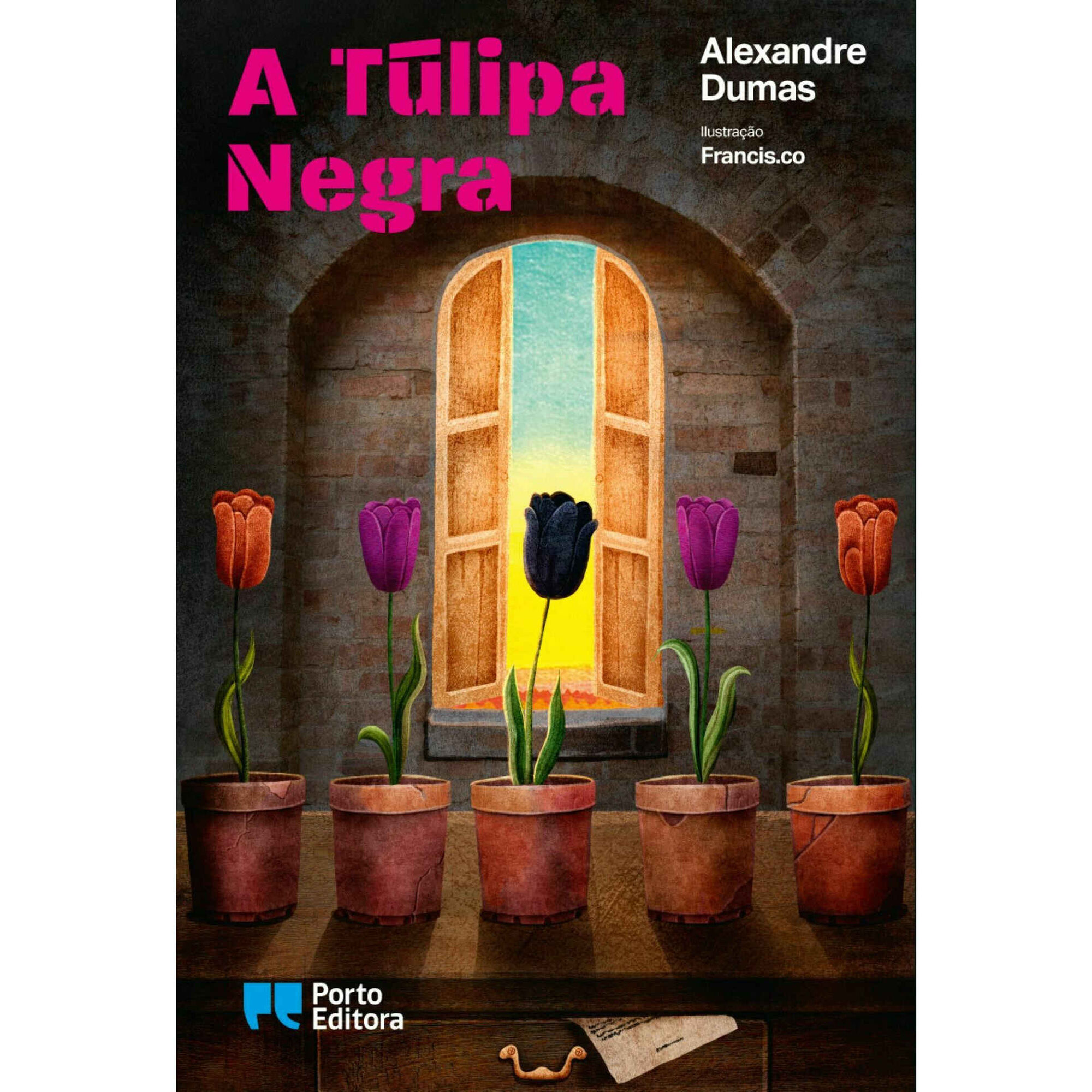 A T&uacute;lipa Negra de Alexandre Dumas