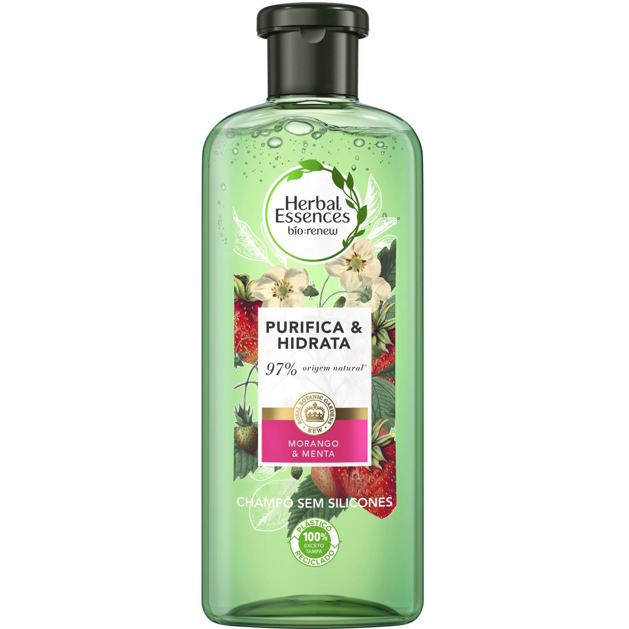 Champô Purificante Morango e Menta Champô Purificante Morango e Menta