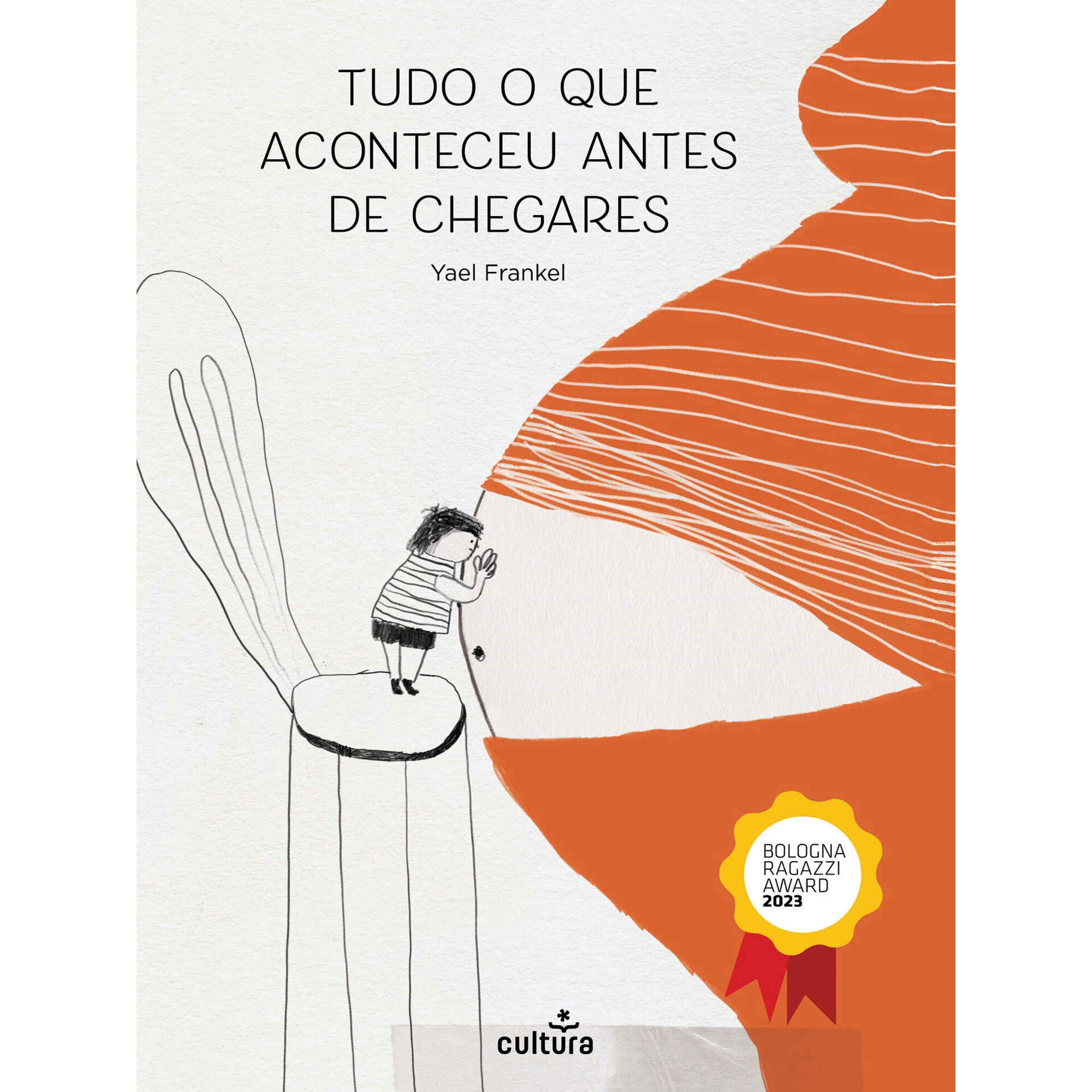 Tudo o que Aconteceu Antes de Chegares de Yael Frankel