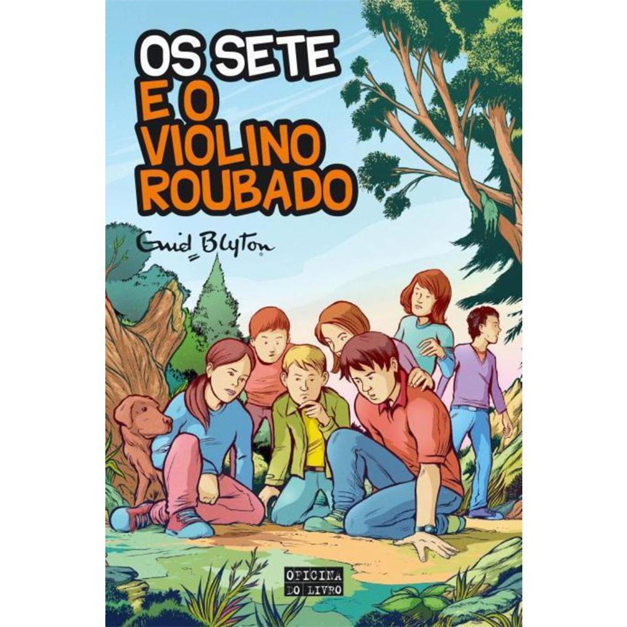 Os Sete e o Violino Roubado (Volume X)