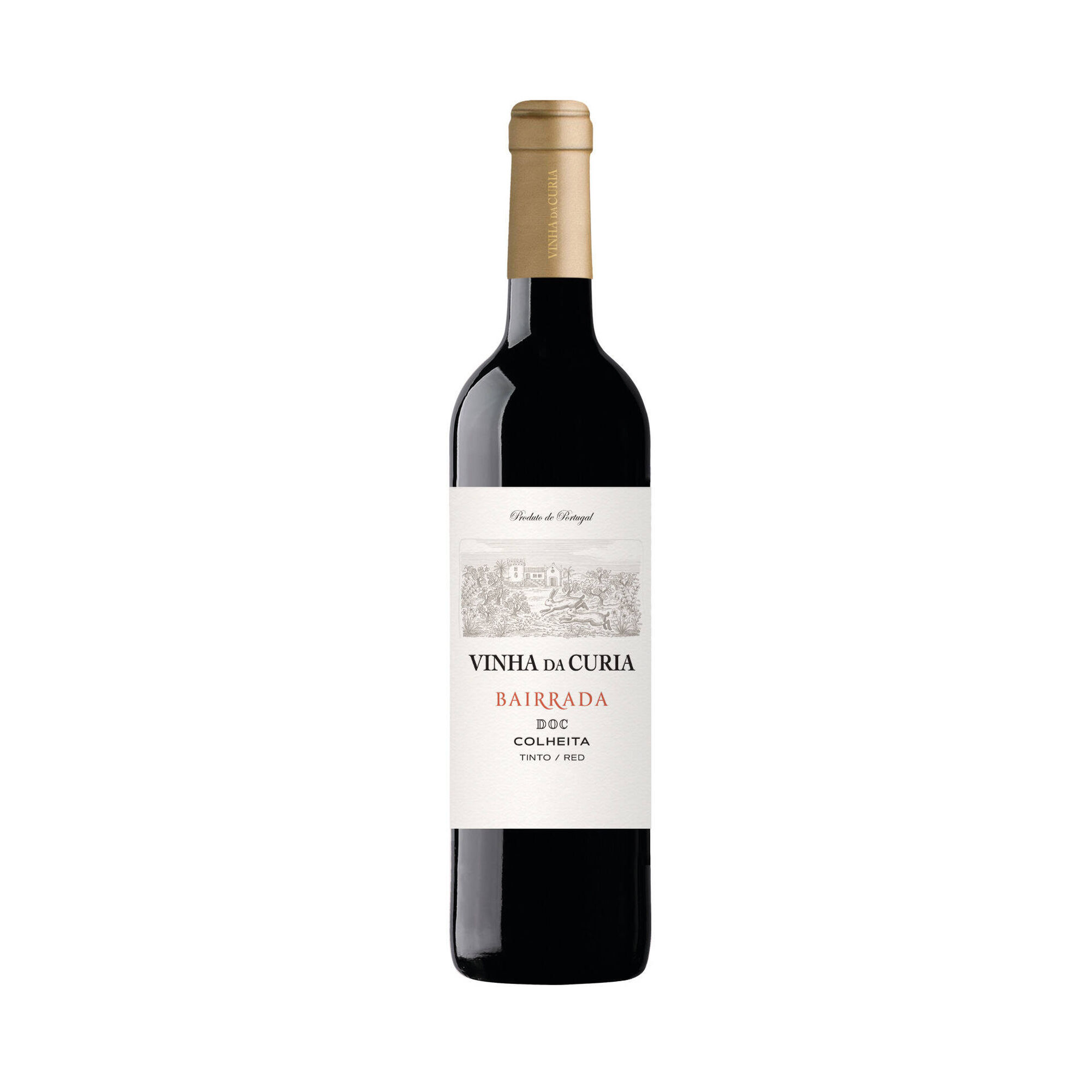 Vinha da Curia Colheita DOC Bairrada Vinho Tinto