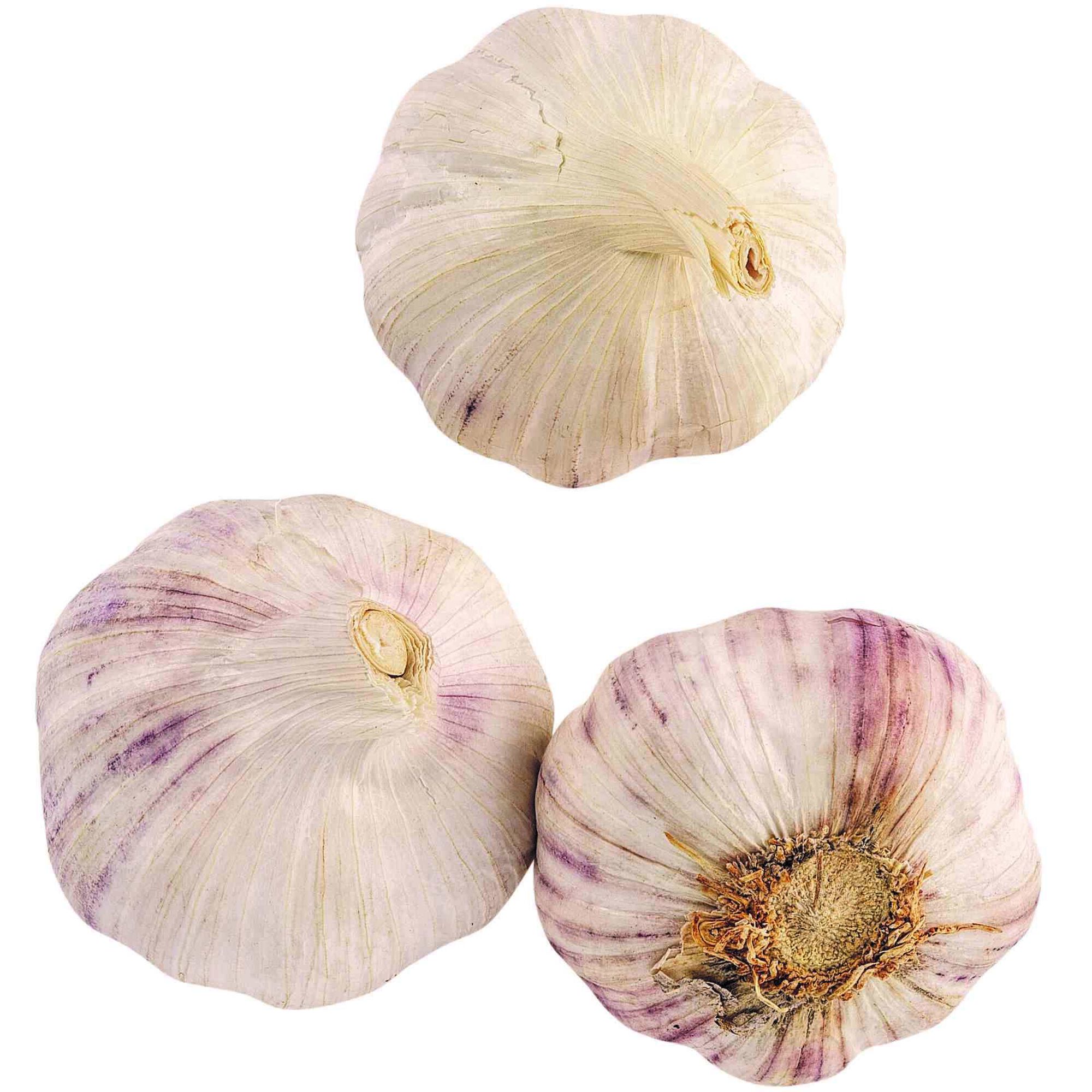 Alho Seco Biológico