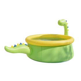 Piscina Dinossauro