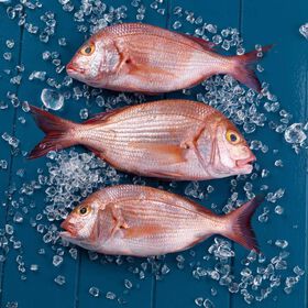 Dent&atilde;o Fresco