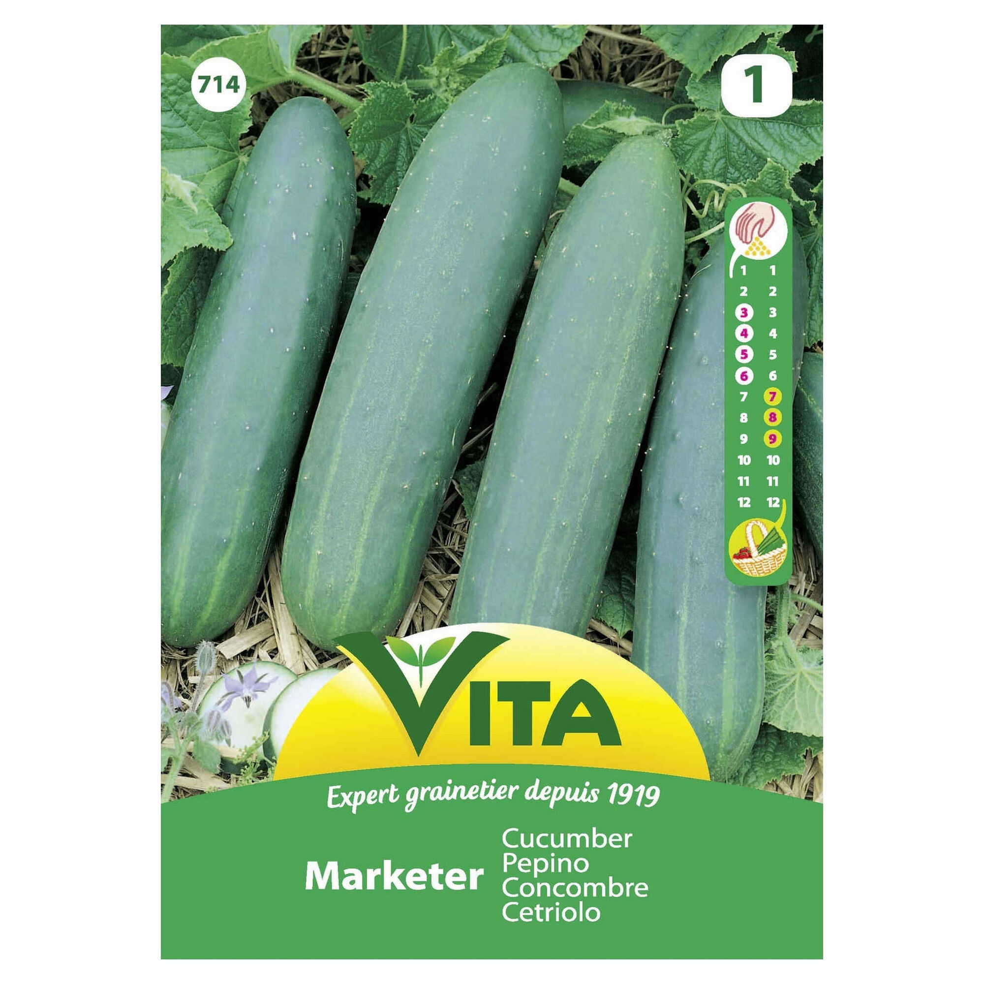 Sementes Hortícolas Pepino Sementes Hortícolas Pepino