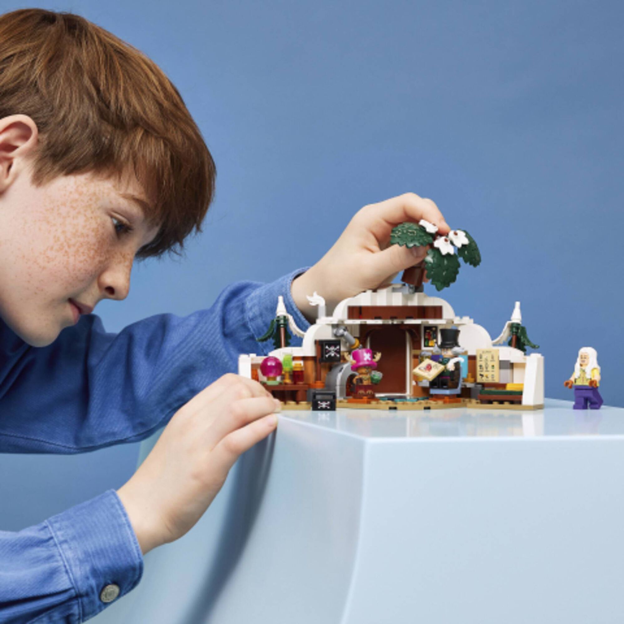 LEGO One Piece - Esconderijo do Dr. Hiriluk - 75641