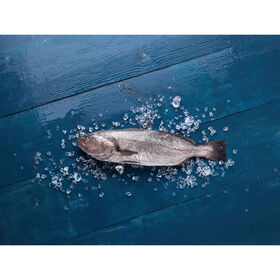 Corvina Selvagem M&eacute;dia Fresca