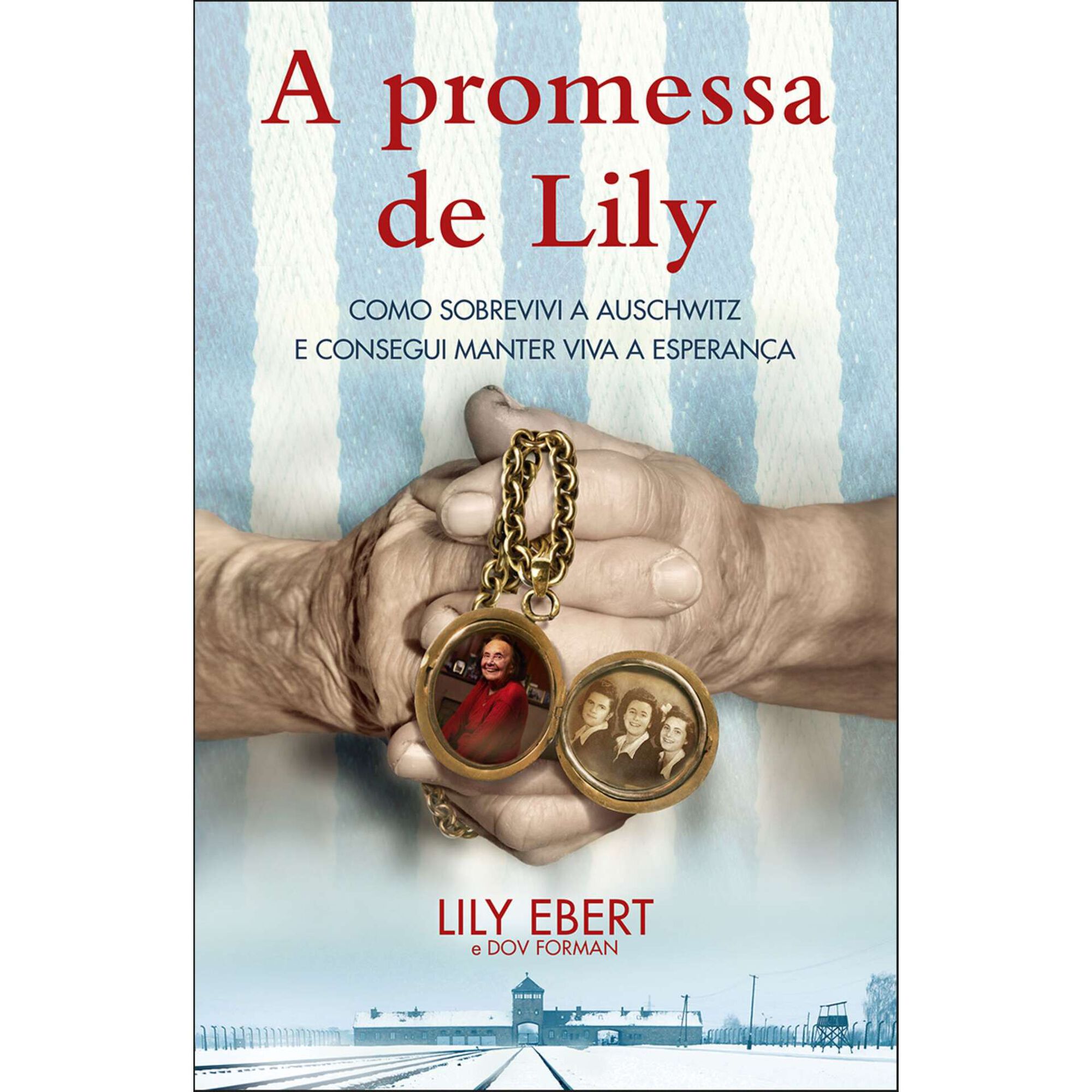 A Promessa de Lily A Promessa de Lily