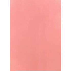 Cartolina Rosa 50x70cm Paperpoint