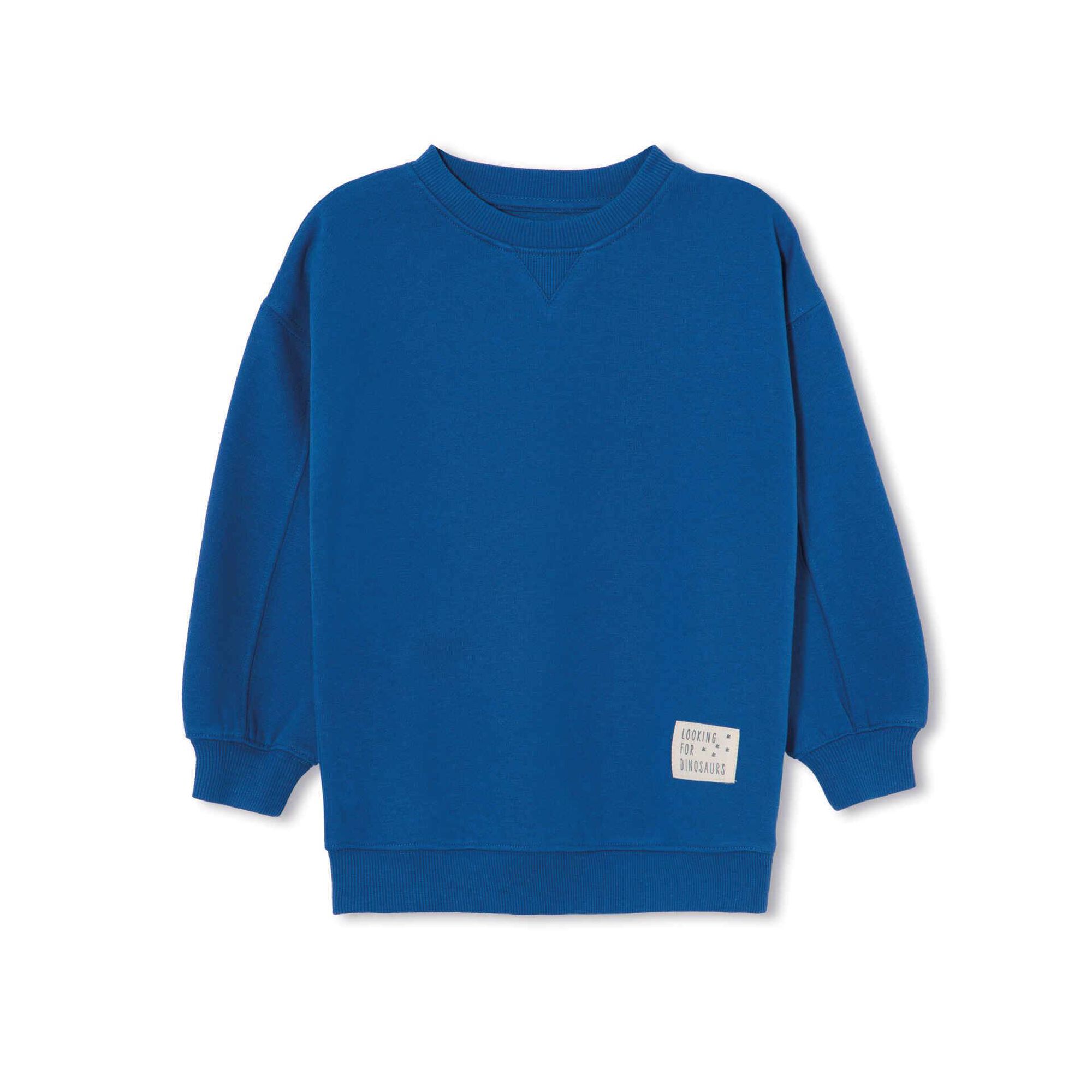 Sweatshirt Dinossauro Azul Forte 9 - 10 Meses Menino Sweatshirt Dinossauro Azul Forte 9 - 10 Meses Menino
