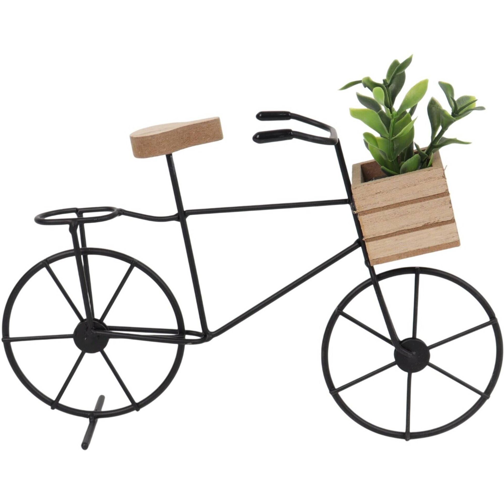 Bicicleta Cesto com Planta Kasa
