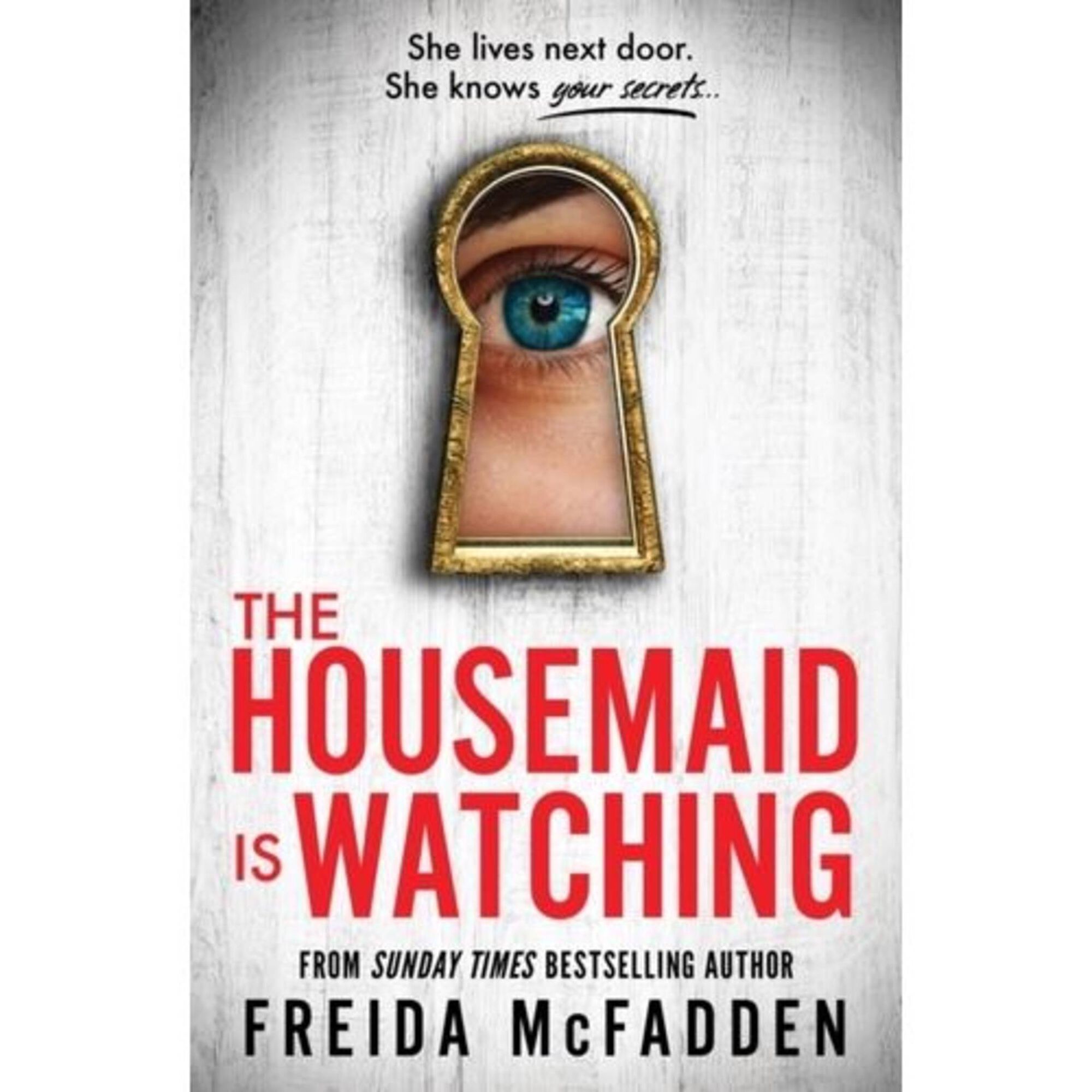 The Housemaid Is Watching The Housemaid Is Watching