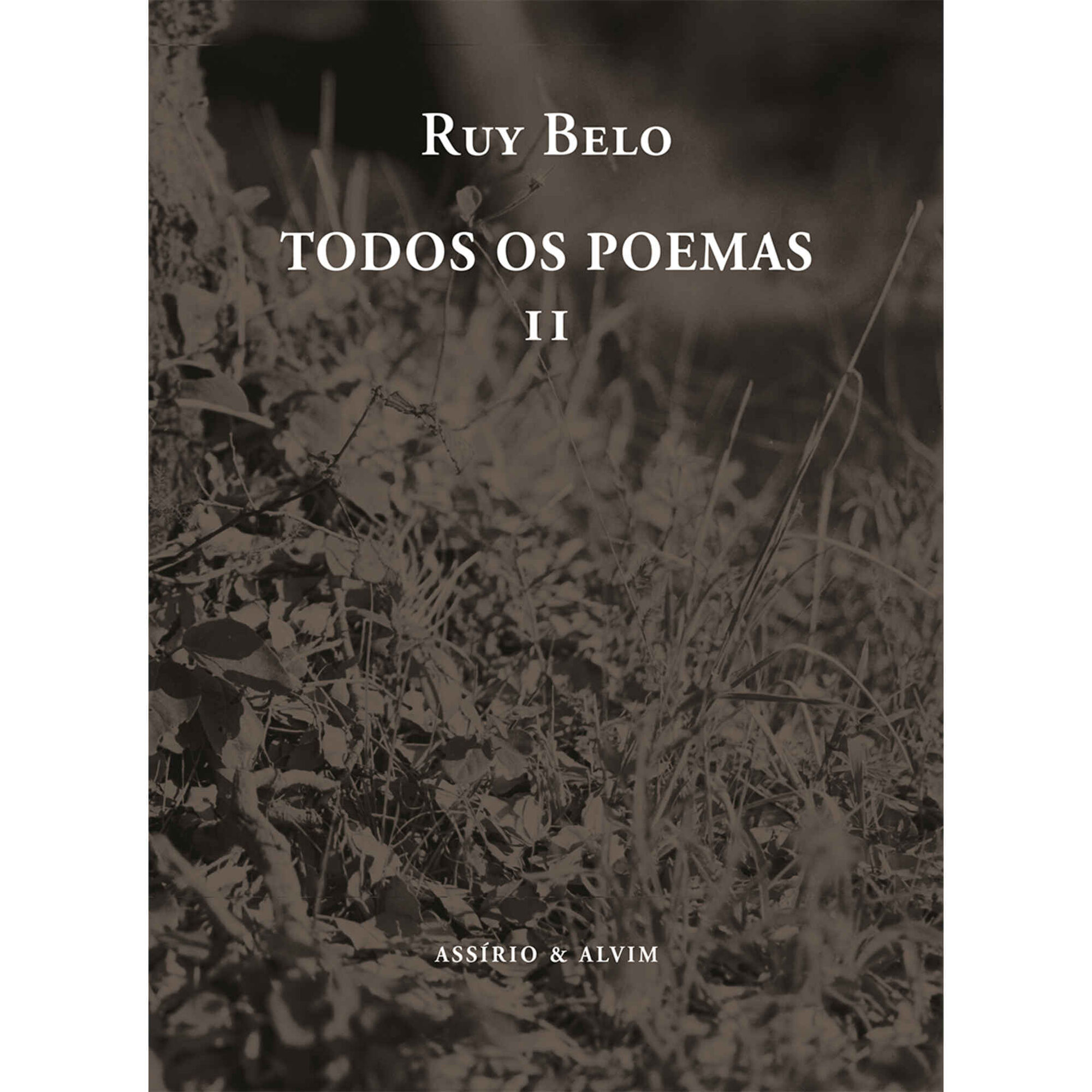Todos os Poemas - II de Ruy Belo
