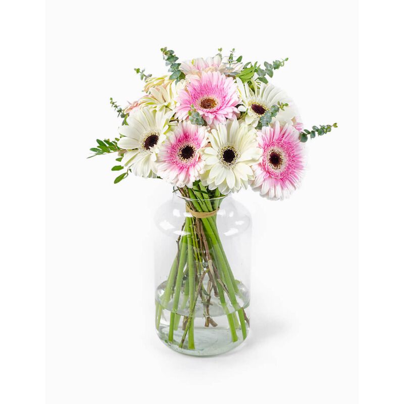 Ramo Cocktail Gerberas Brancas Flores no Cais