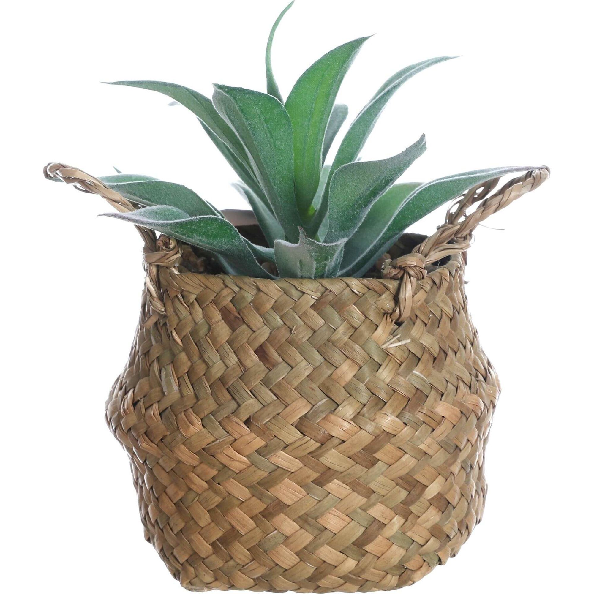 Planta Artificial Suculenta com Cesto com Asas