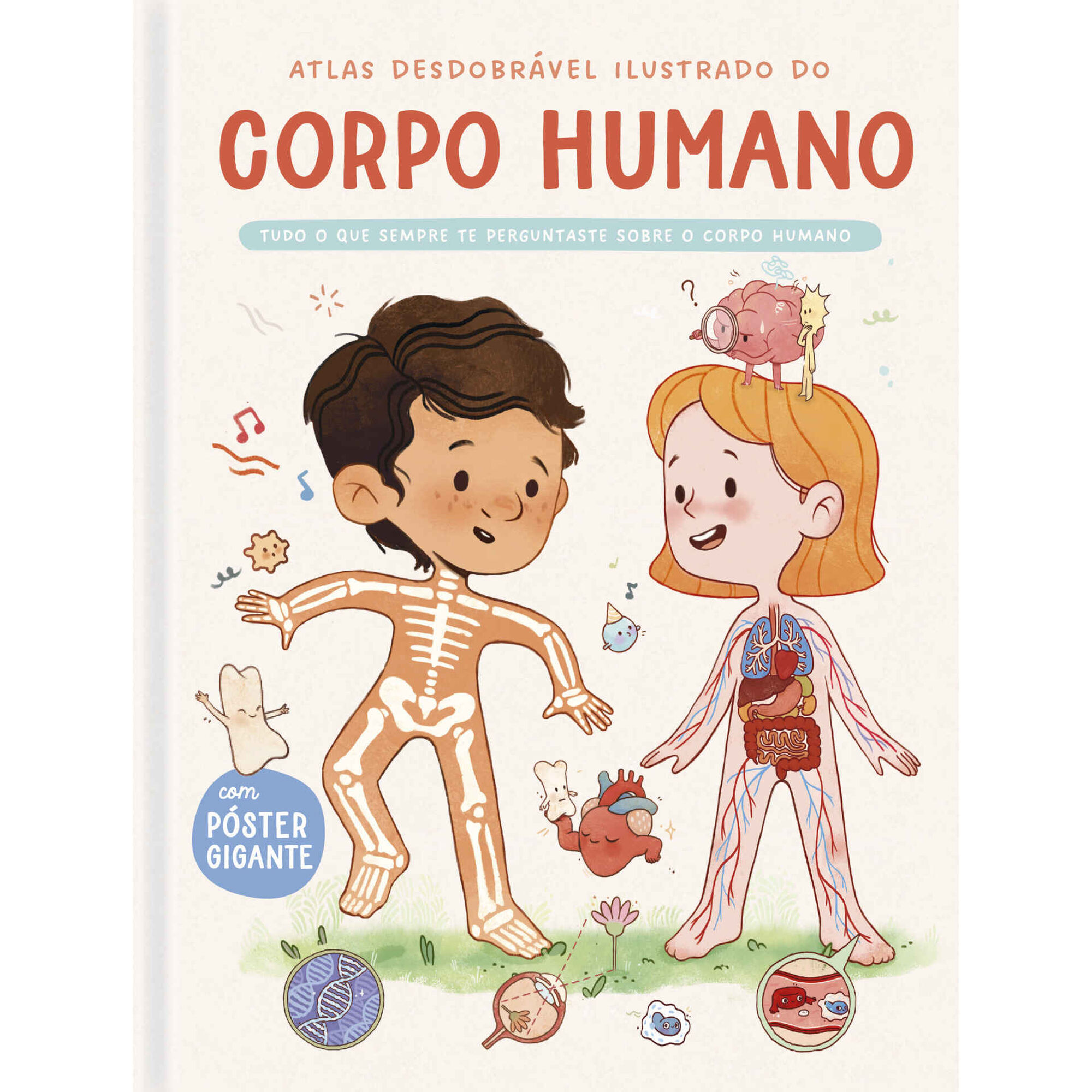 Atlas Desdobrável Ilustrado do Corpo Humano