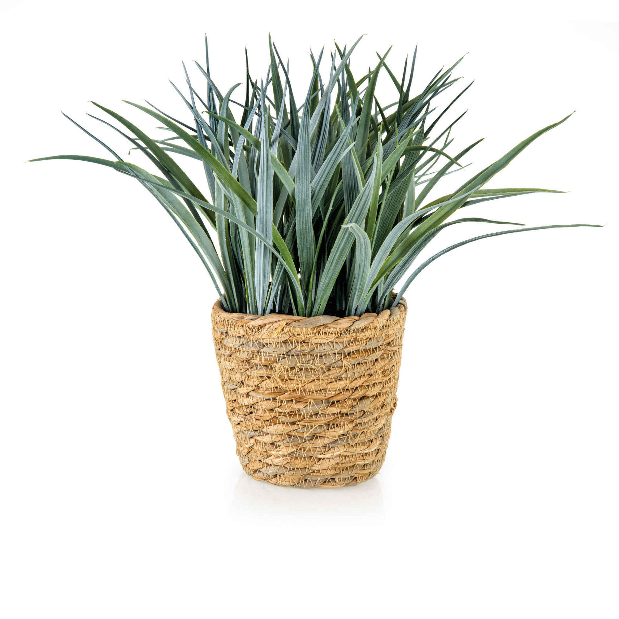 Planta Artificial Relva com Vaso Seagrass